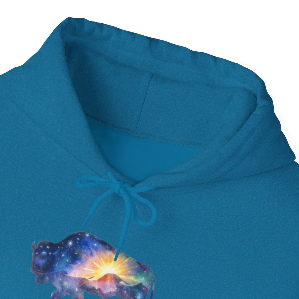 Colorful Bison Graphic Pullover