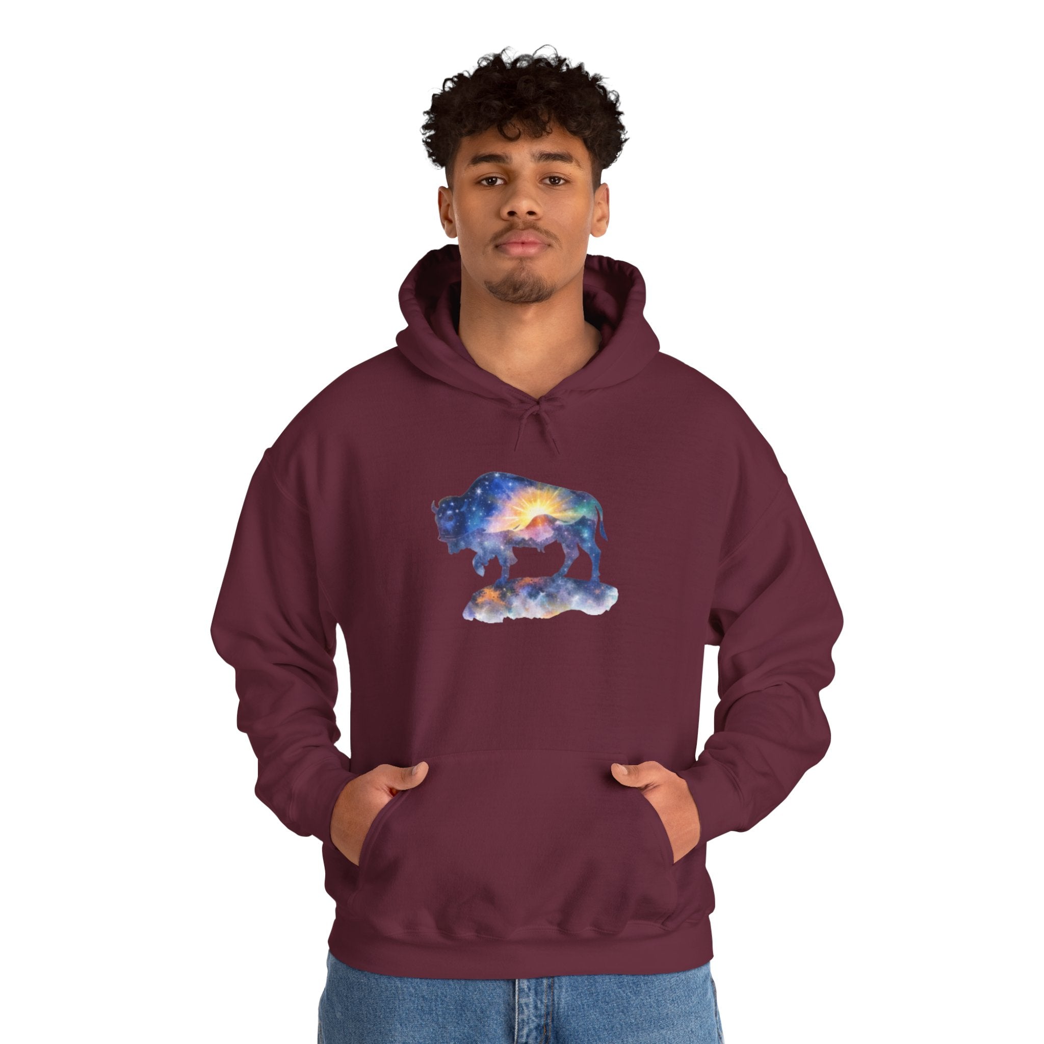 Colorful Bison Graphic Pullover