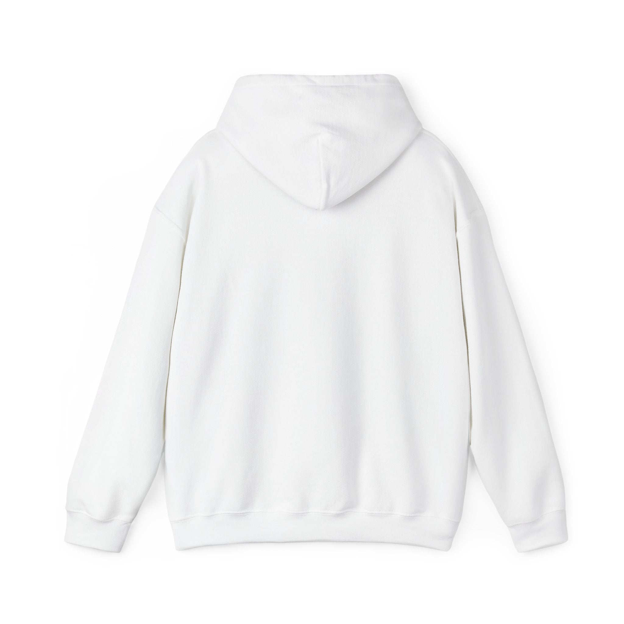 Flock Around & Find Out Hoodie | Funny Typography Pullover