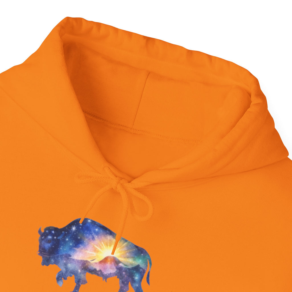 Cosmic Bison Graphic Sweatshirt