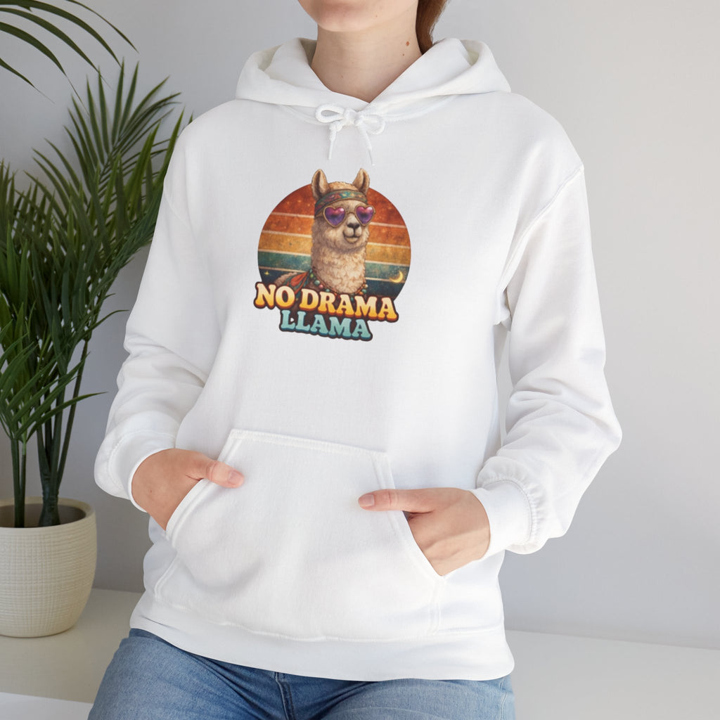 No Drama Llama Hoodie – Retro Sunset Graphic Pullover