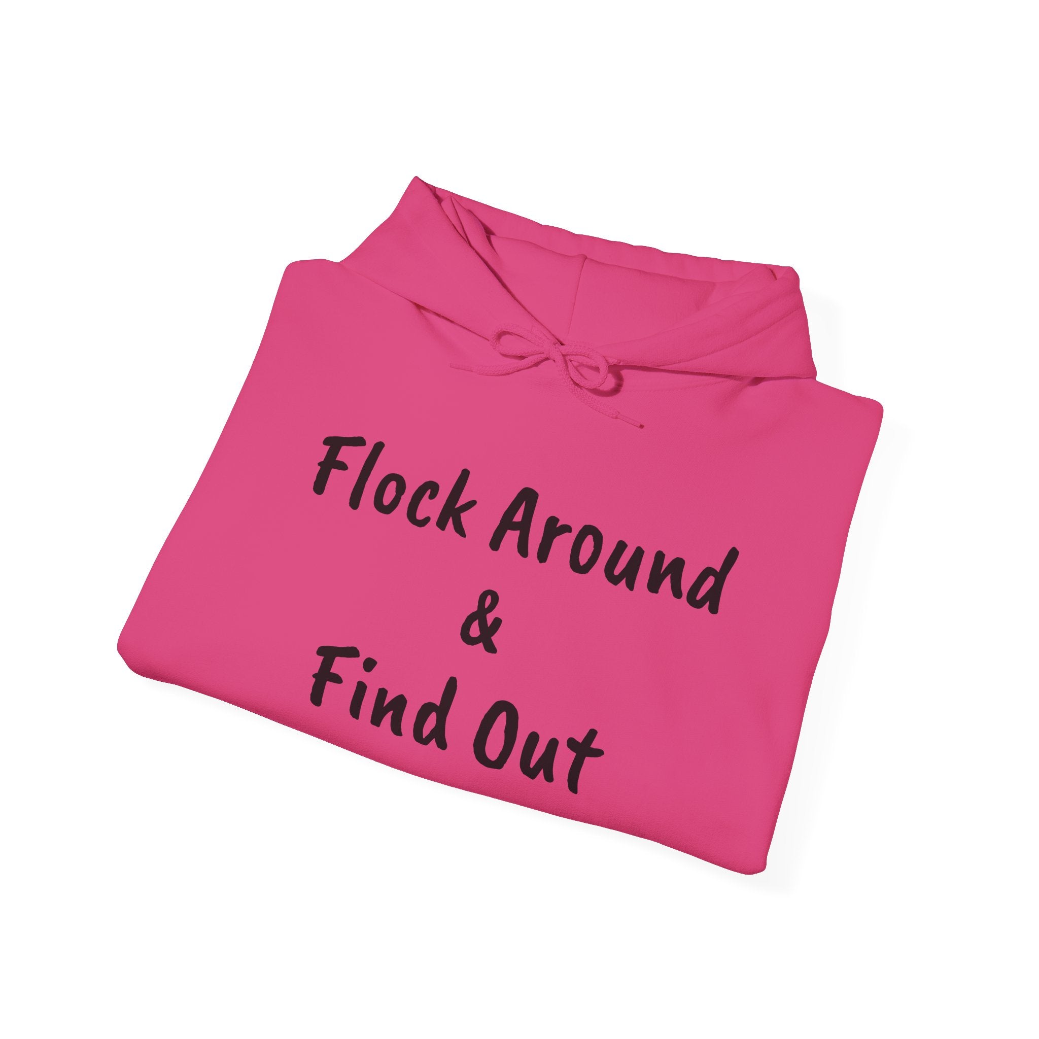 Flock Around & Find Out Hoodie | Funny Typography Pullover