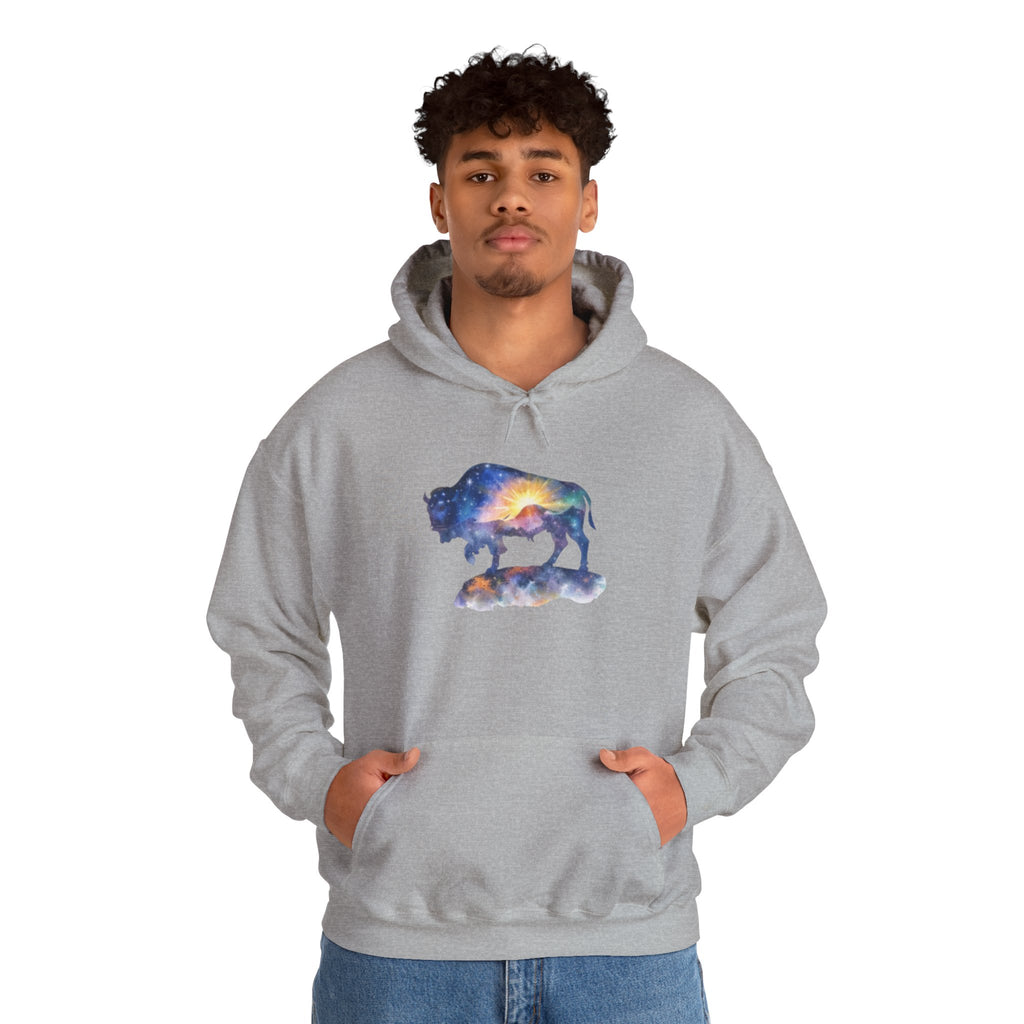 Colorful Bison Graphic Pullover