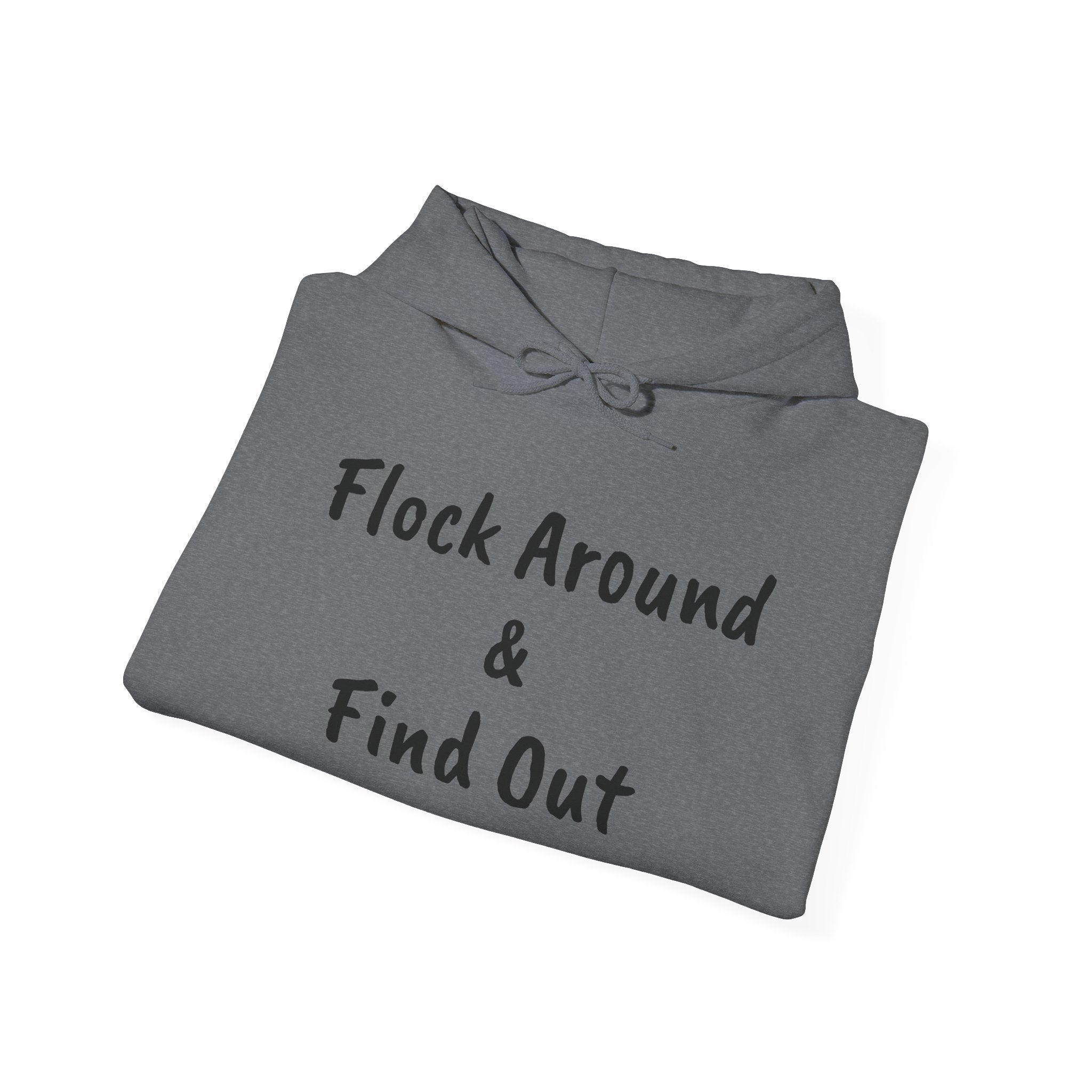 Flock Around & Find Out Hoodie | Funny Typography Pullover