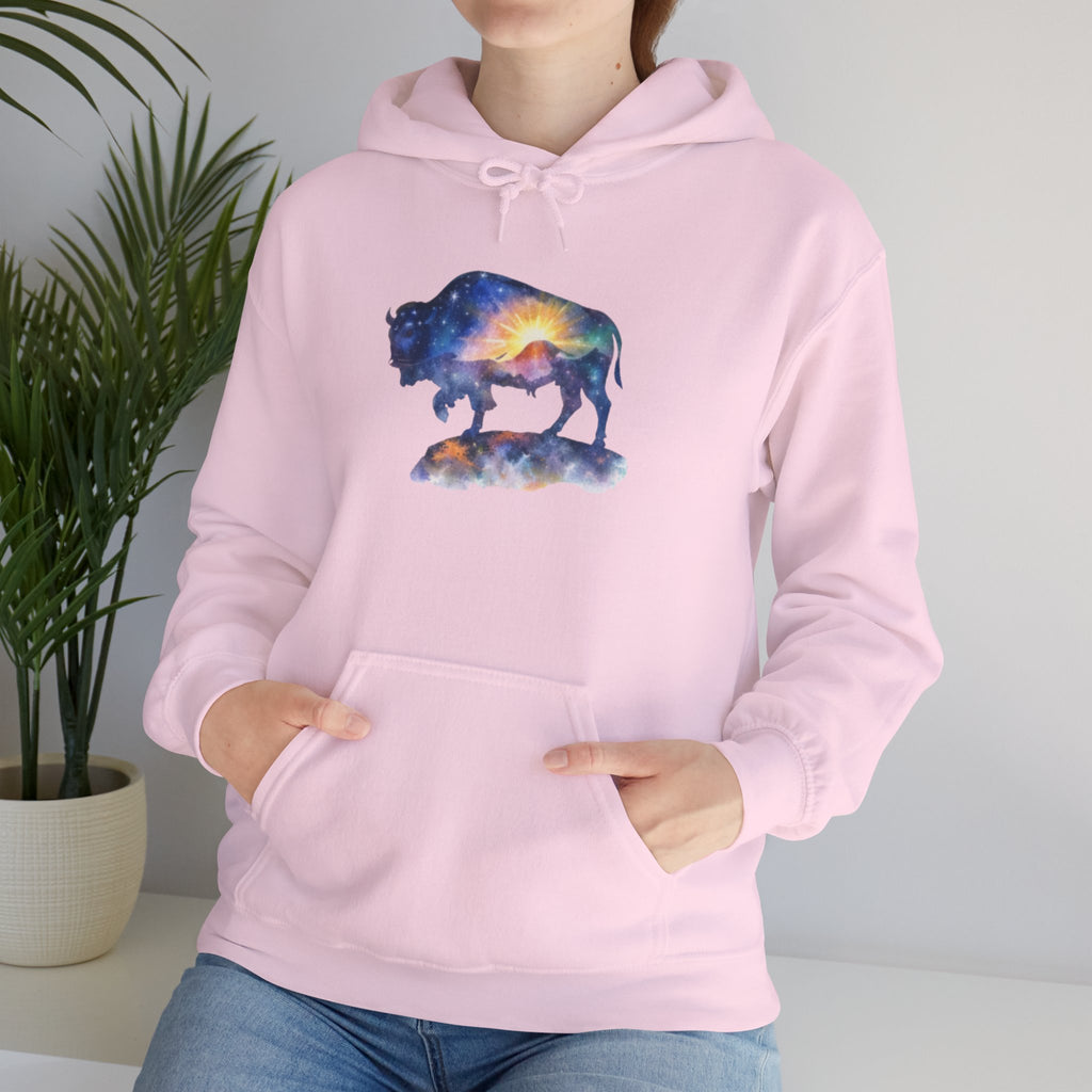 Colorful Bison Graphic Pullover