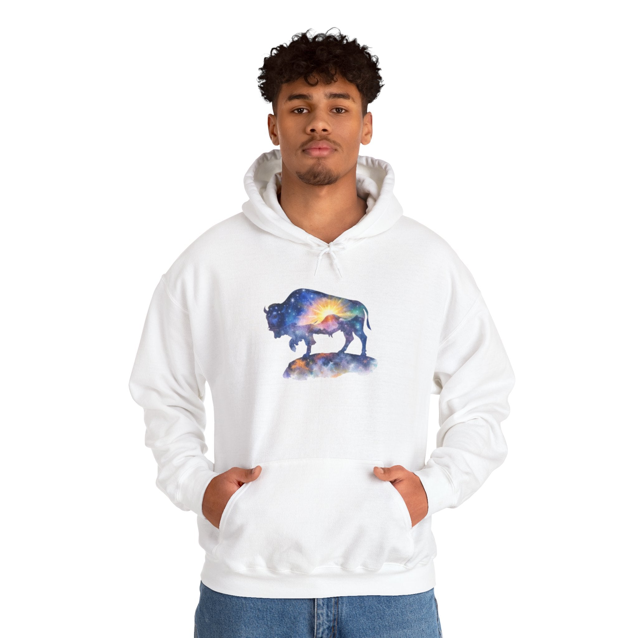 Colorful Bison Graphic Pullover