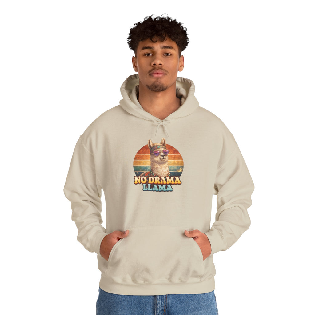 No Drama Llama Hoodie – Retro Sunset Graphic Pullover