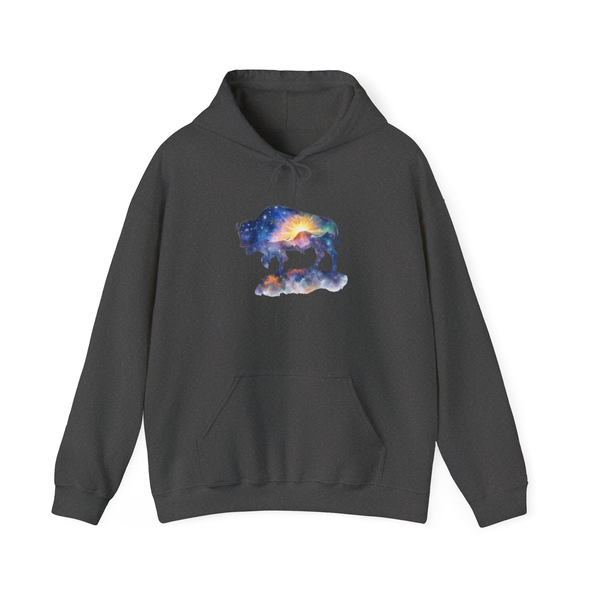 Colorful Bison Graphic Pullover