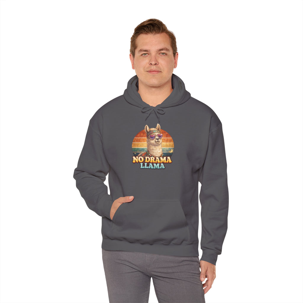 No Drama Llama Hoodie – Retro Sunset Graphic Pullover