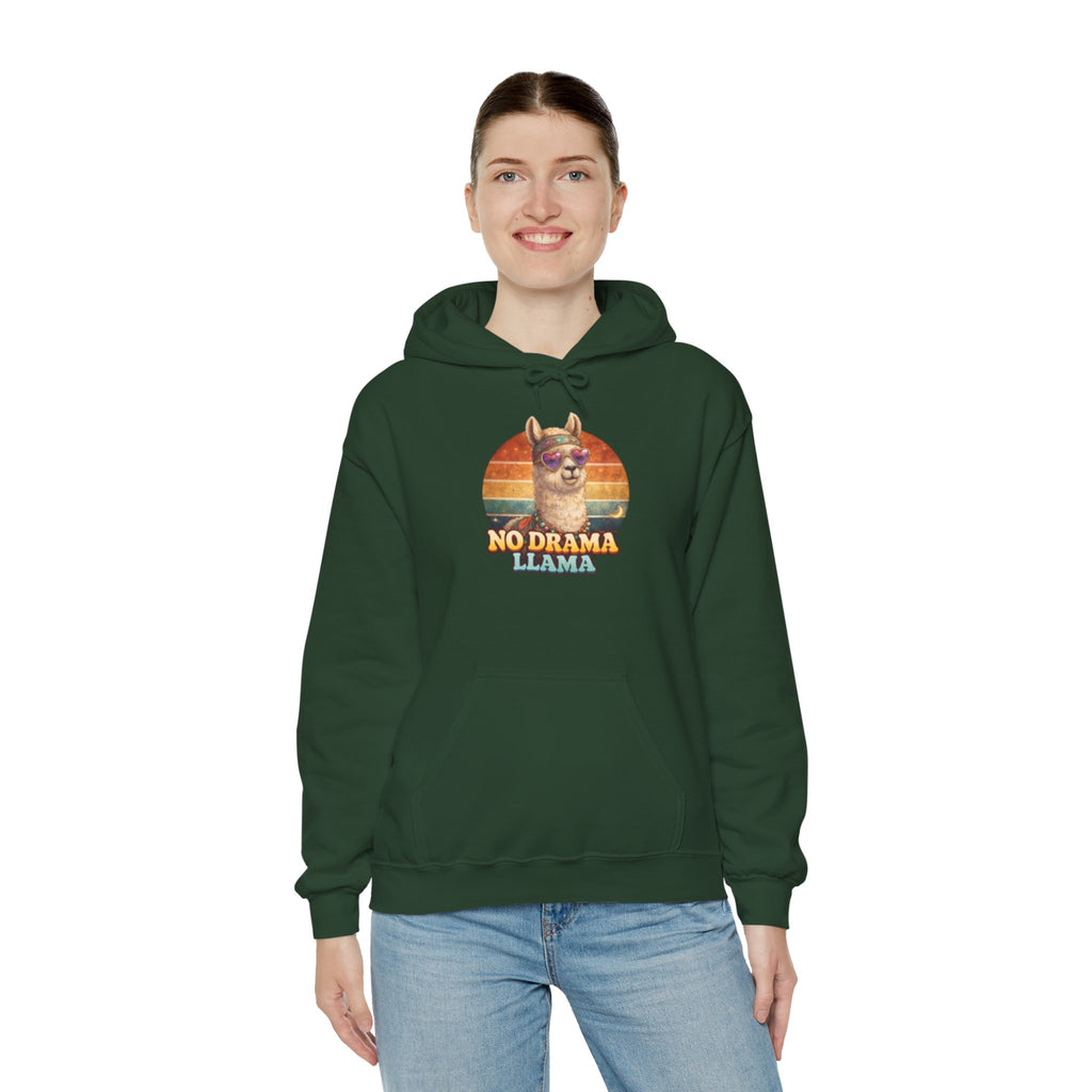 No Drama Llama Hoodie – Retro Sunset Graphic Pullover