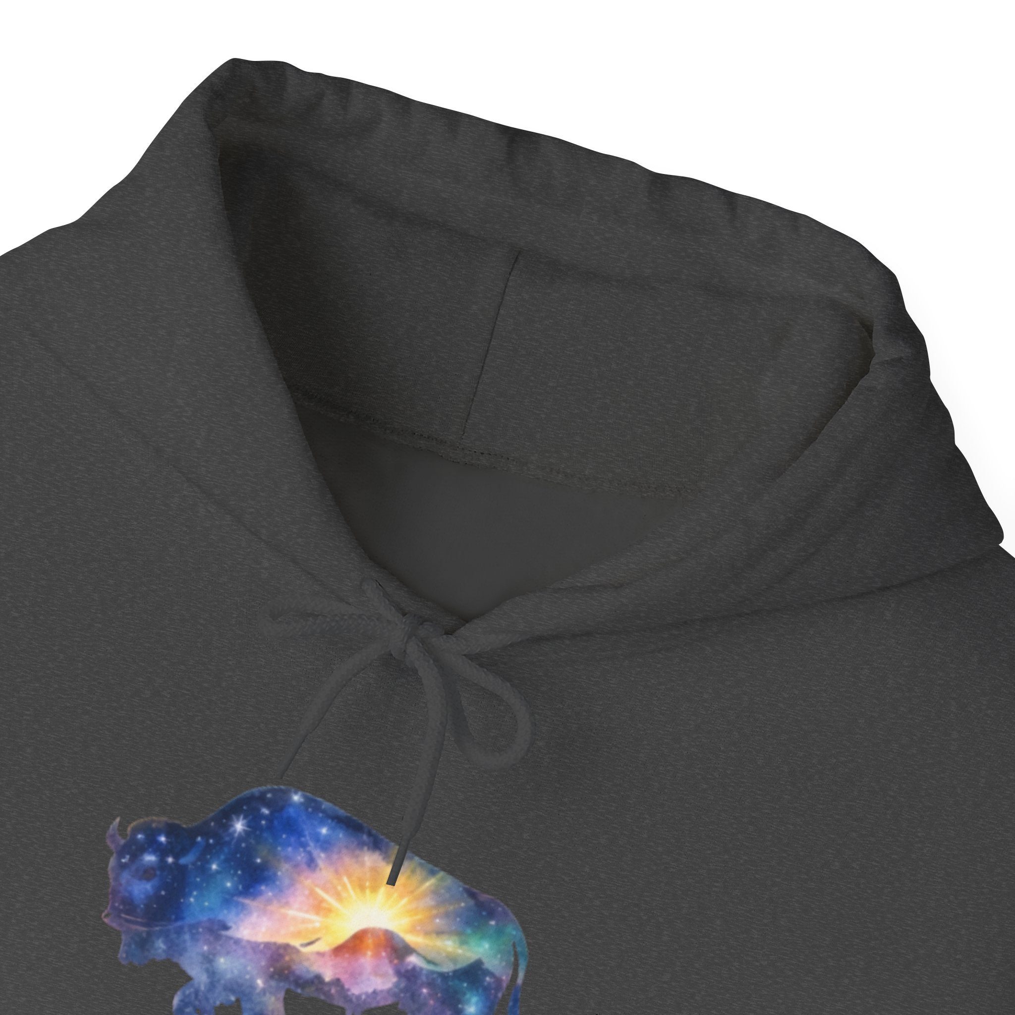Colorful Bison Graphic Pullover