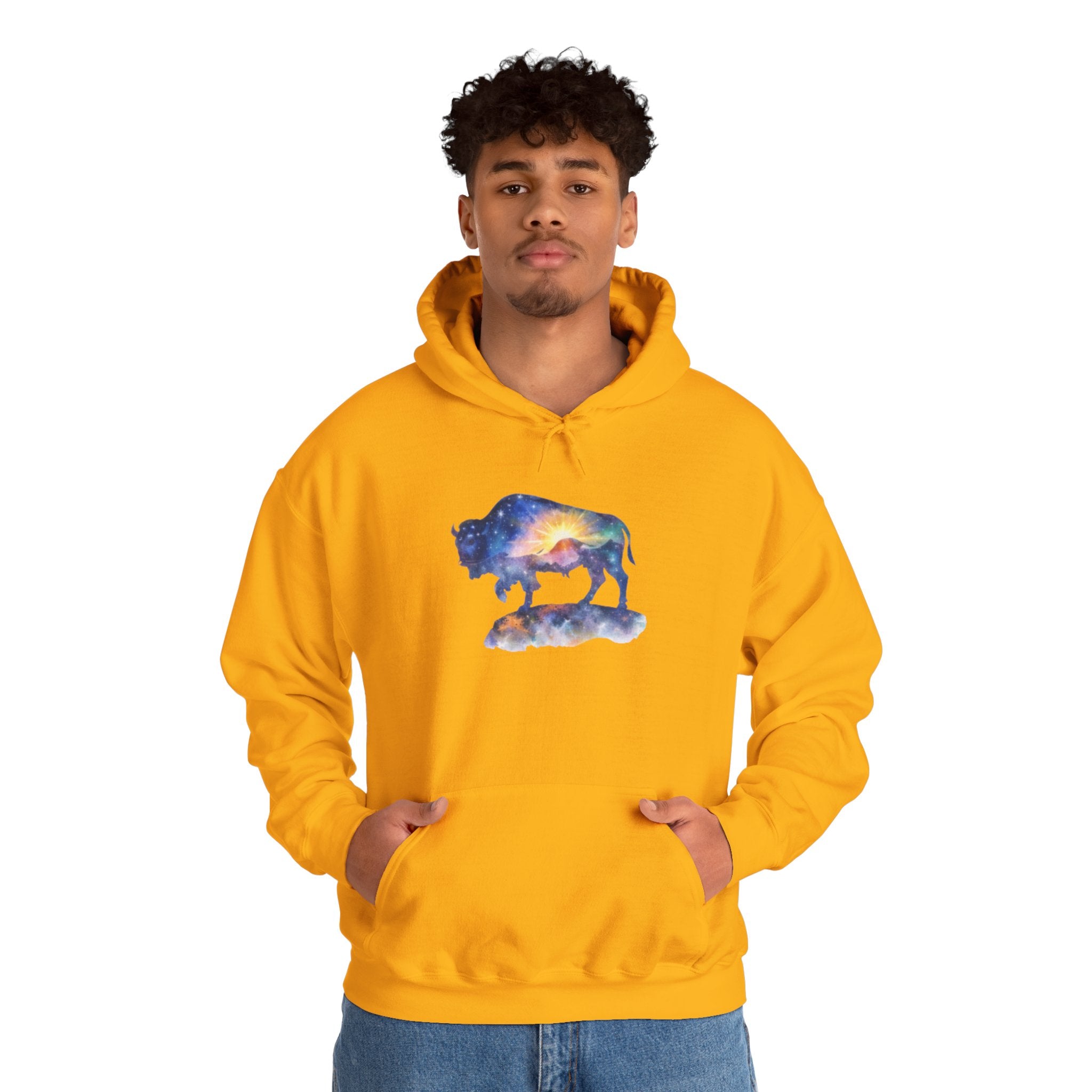 Colorful Bison Graphic Pullover