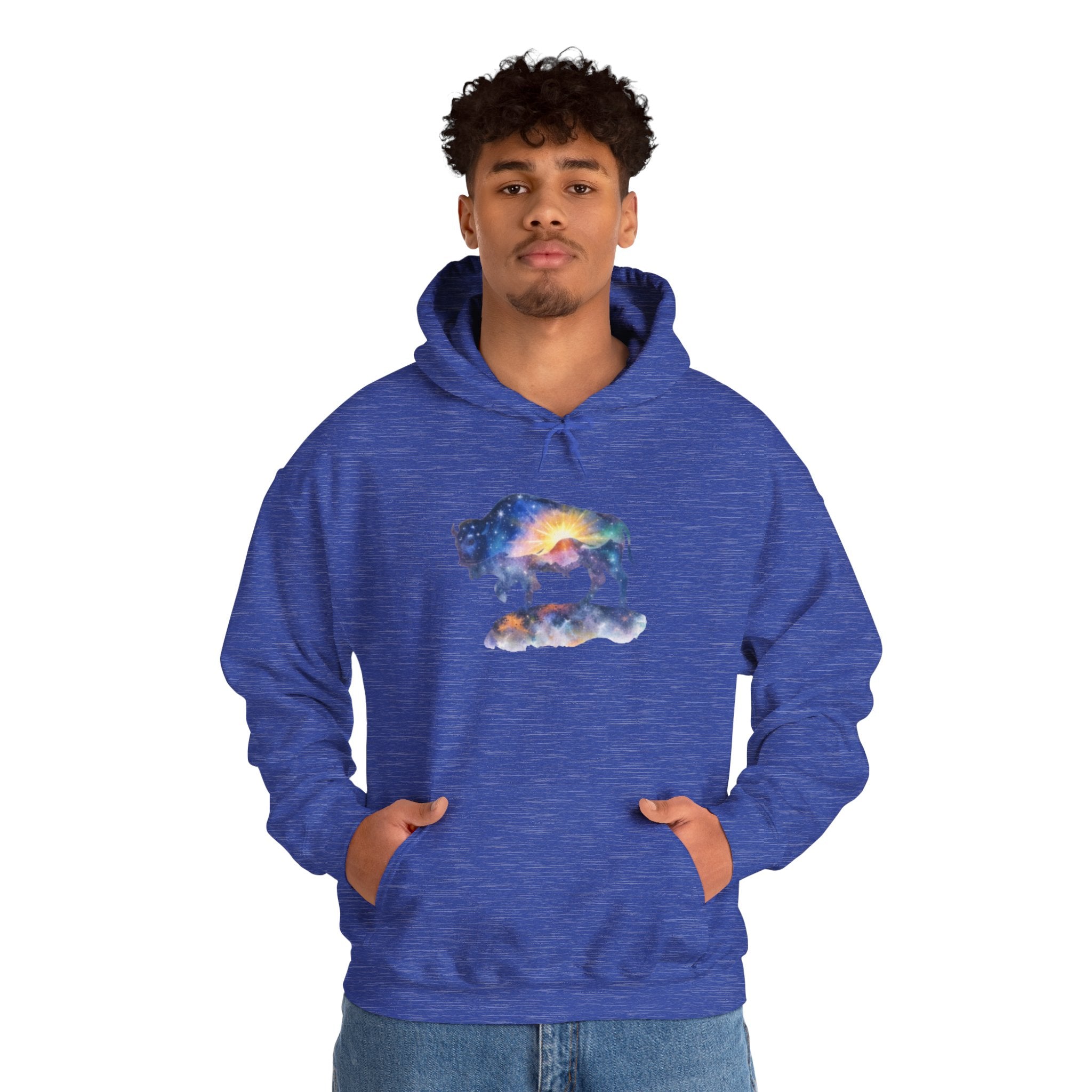 Colorful Bison Graphic Pullover