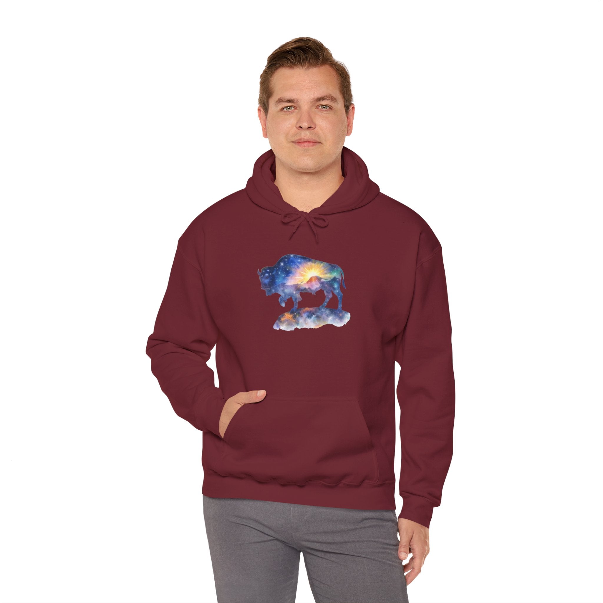 Colorful Bison Graphic Pullover