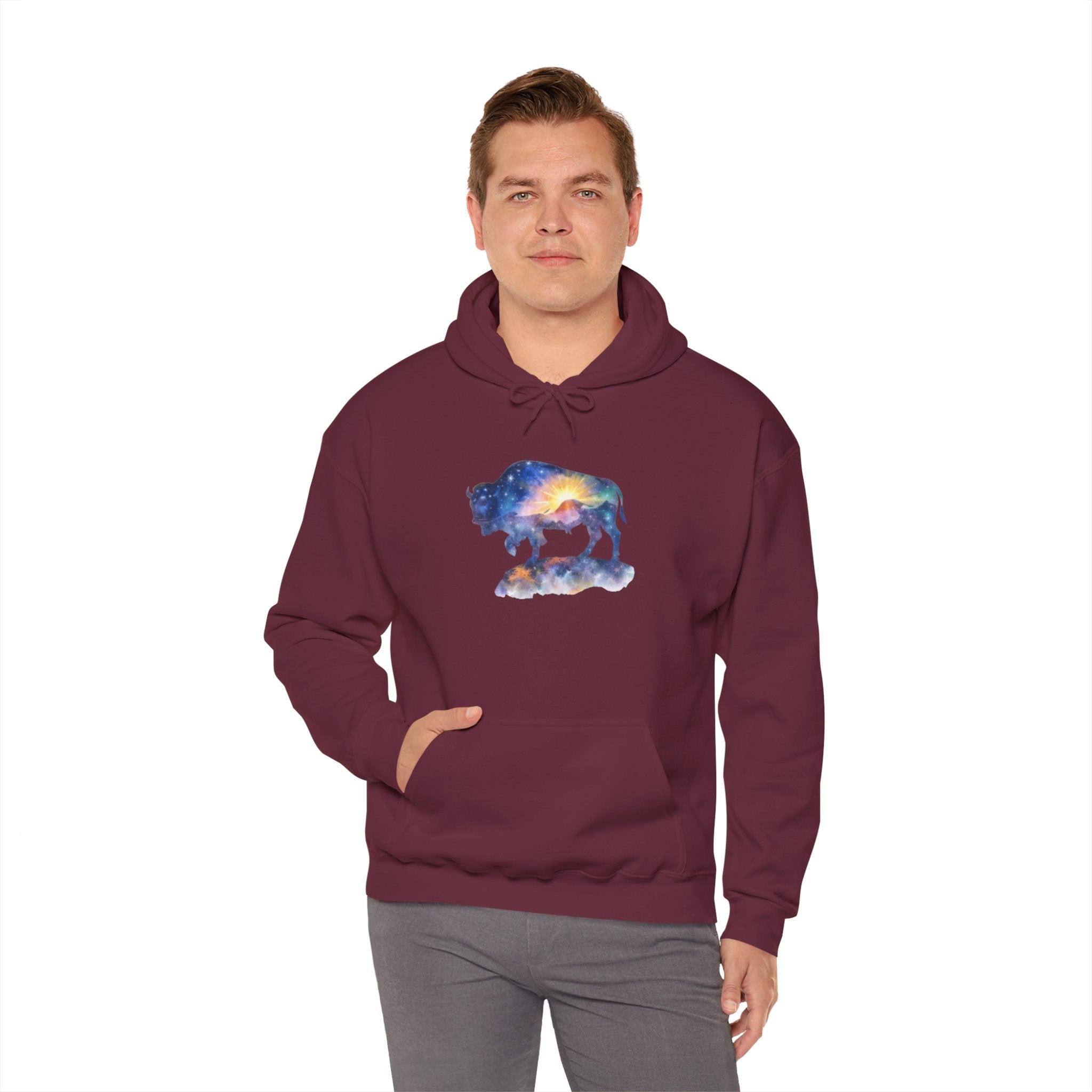 Colorful Bison Graphic Pullover