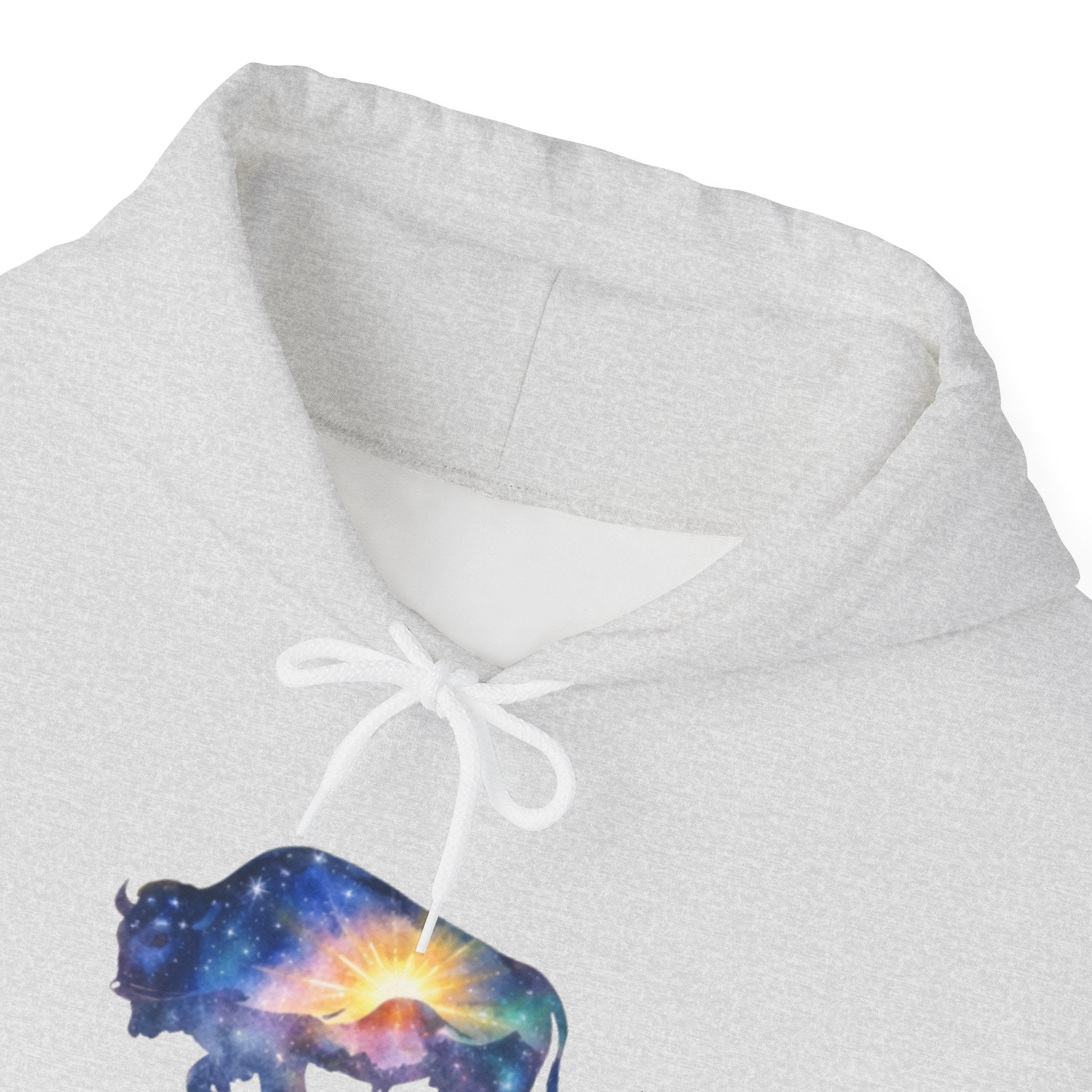 Colorful Bison Graphic Pullover