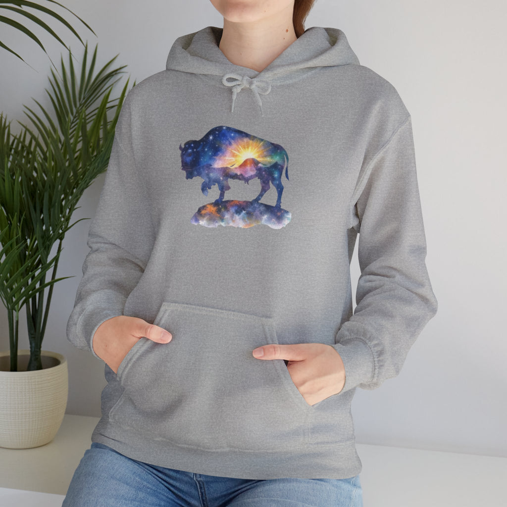 Colorful Bison Graphic Pullover