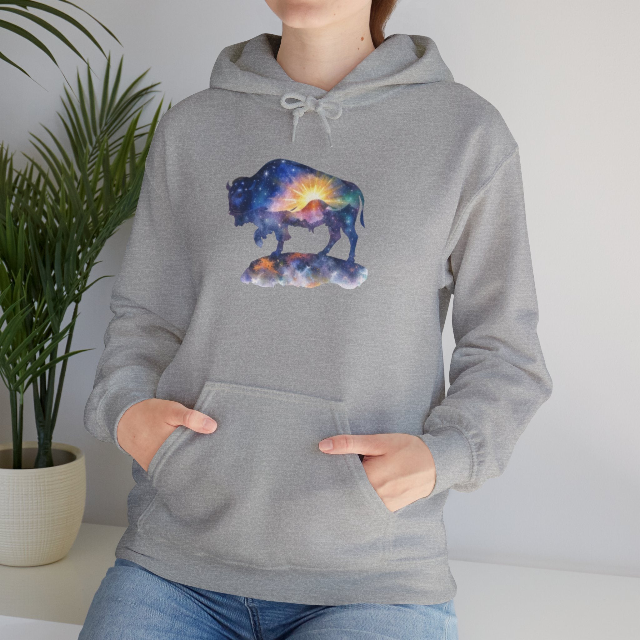 Colorful Bison Graphic Pullover