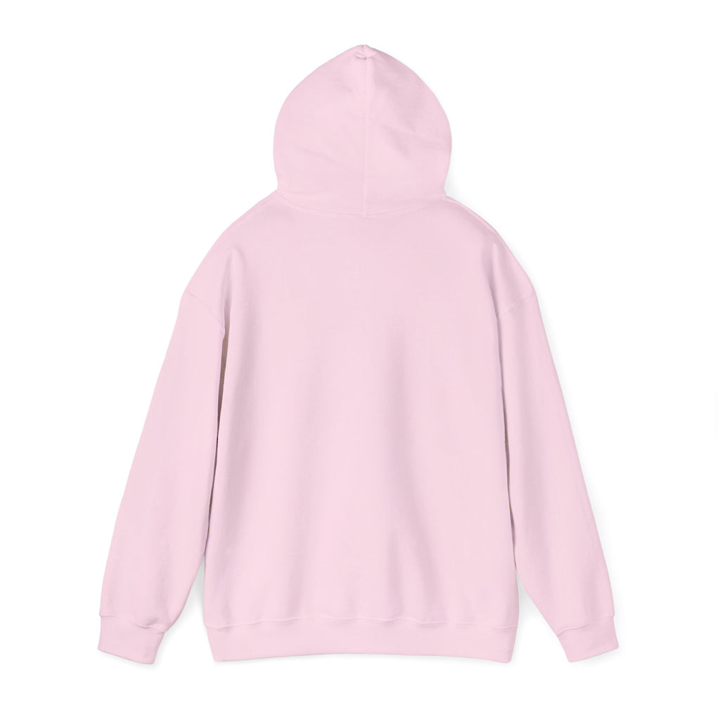 Duck Around Find Out Hoodie | Funny Phrase Pullover Sweatshirt