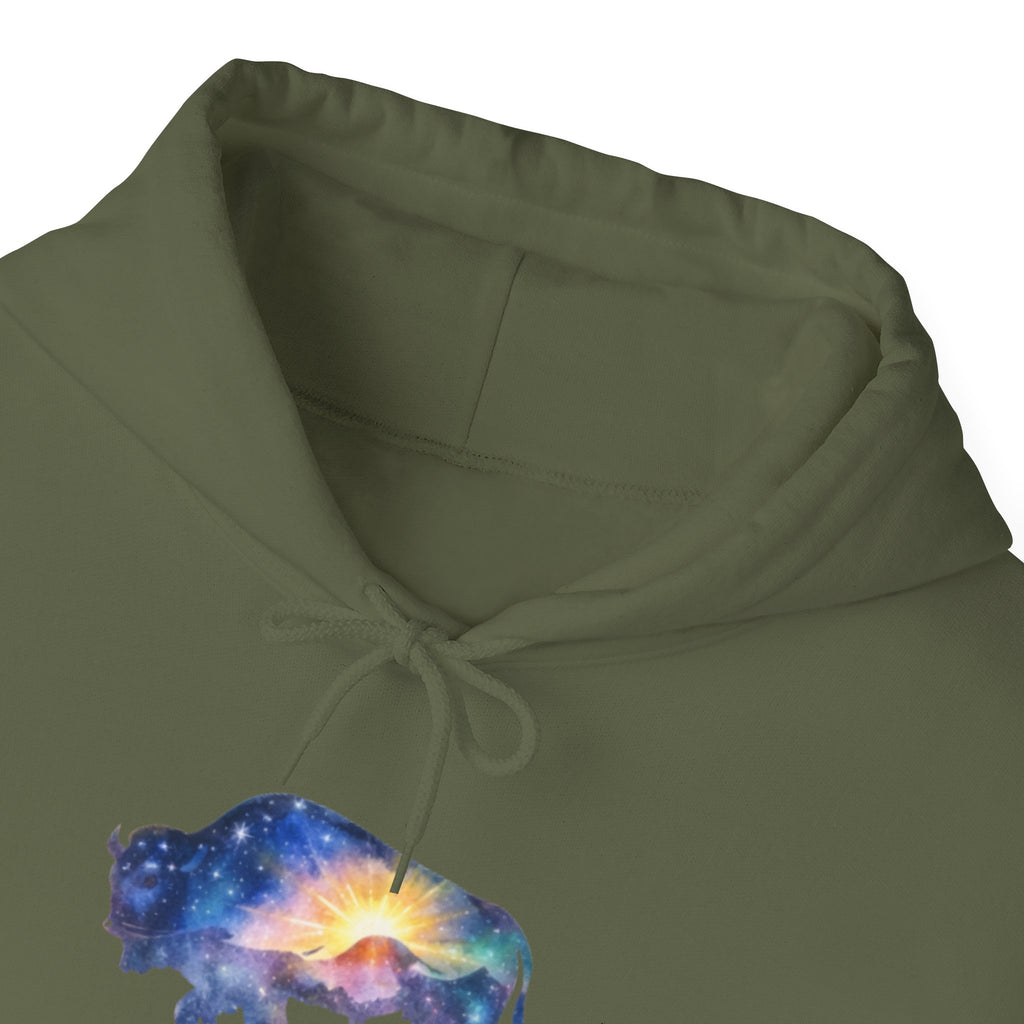 Colorful Bison Graphic Pullover