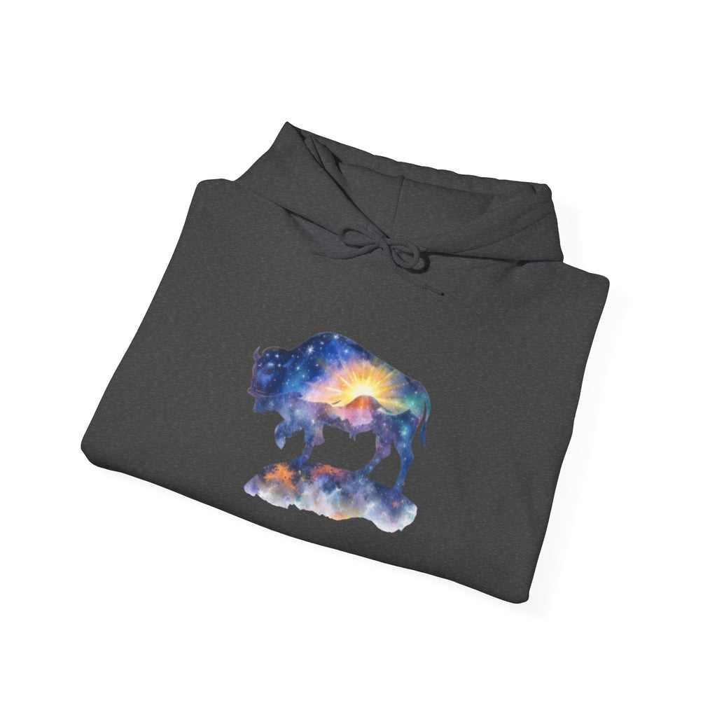 Colorful Bison Graphic Pullover
