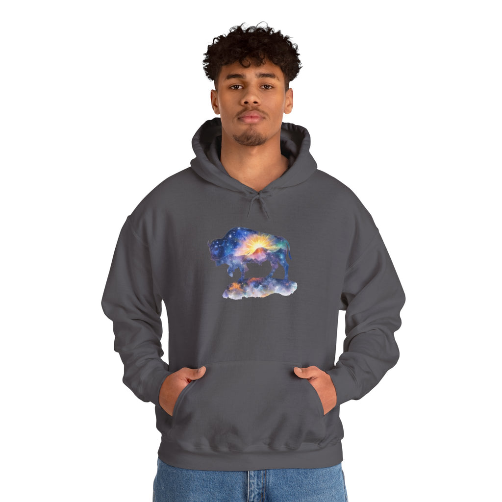 Colorful Bison Graphic Pullover