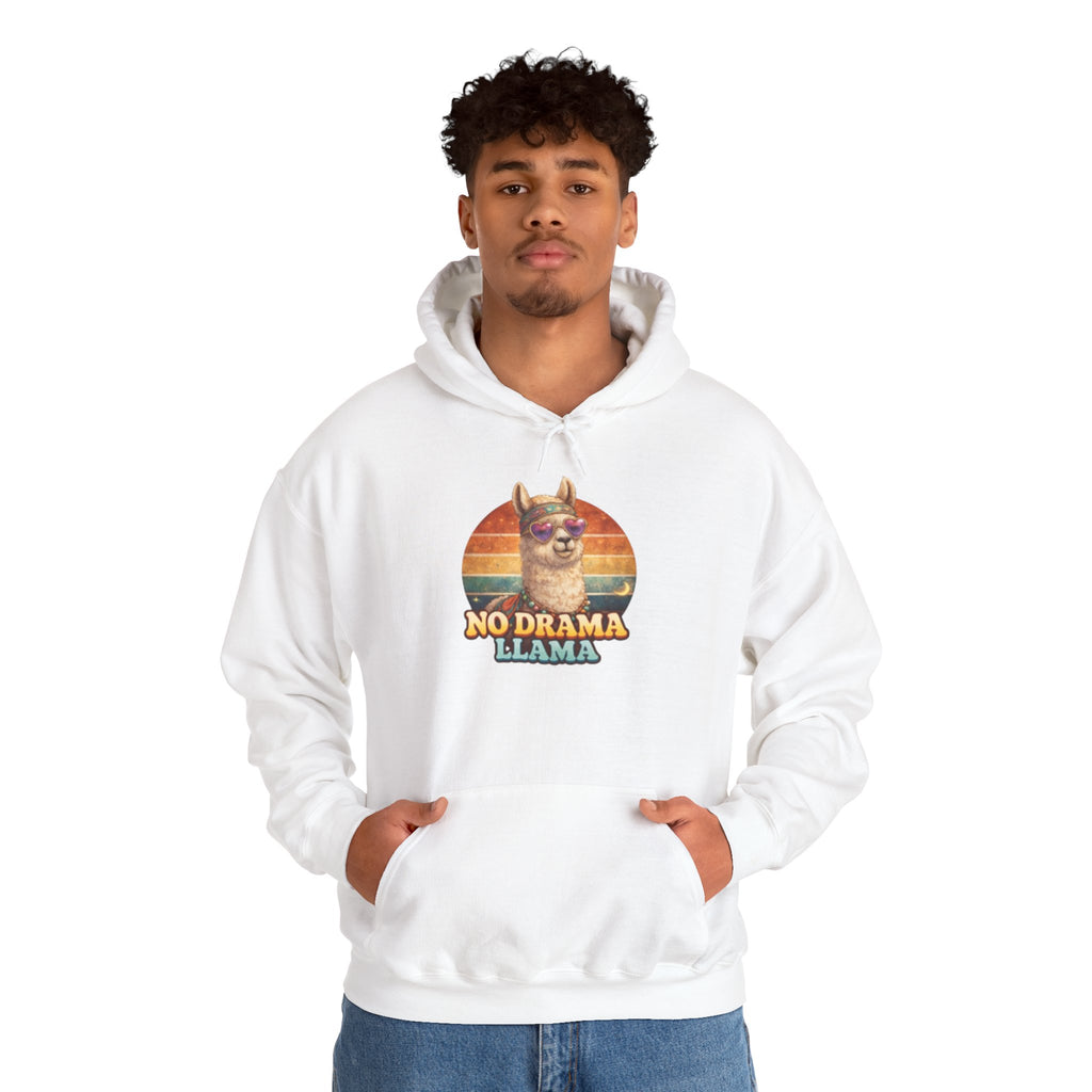 No Drama Llama Hoodie – Retro Sunset Graphic Pullover