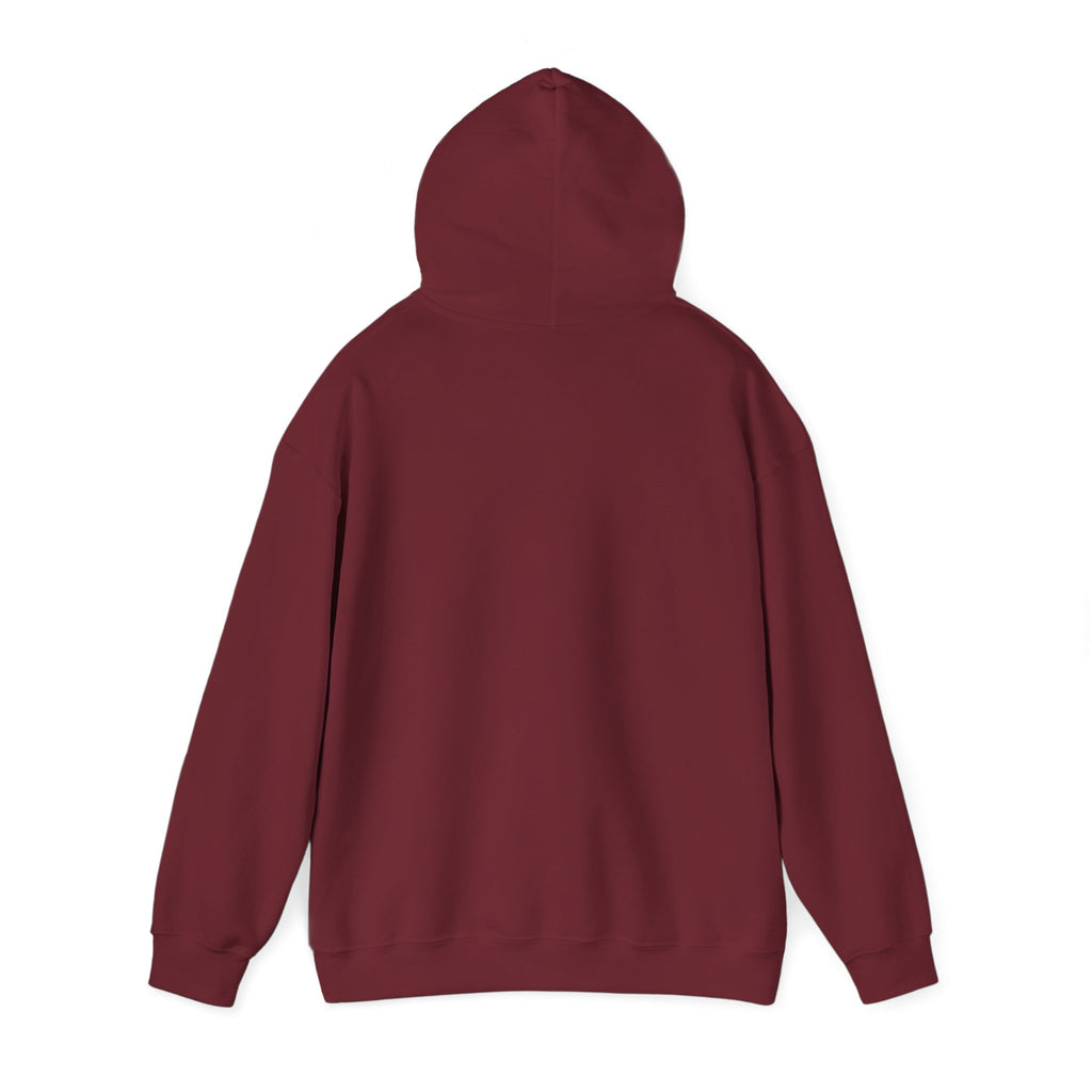 Colorful Bison Graphic Pullover