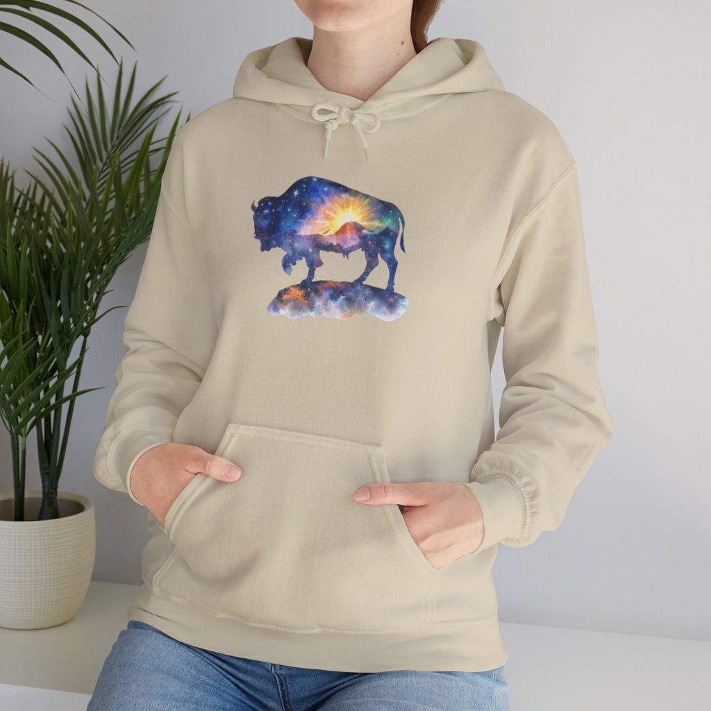 Colorful Bison Graphic Pullover