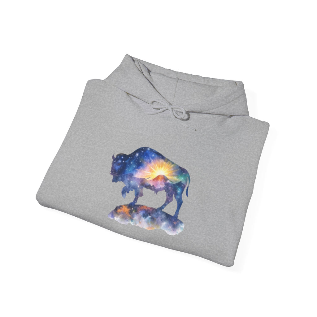 Colorful Bison Graphic Pullover