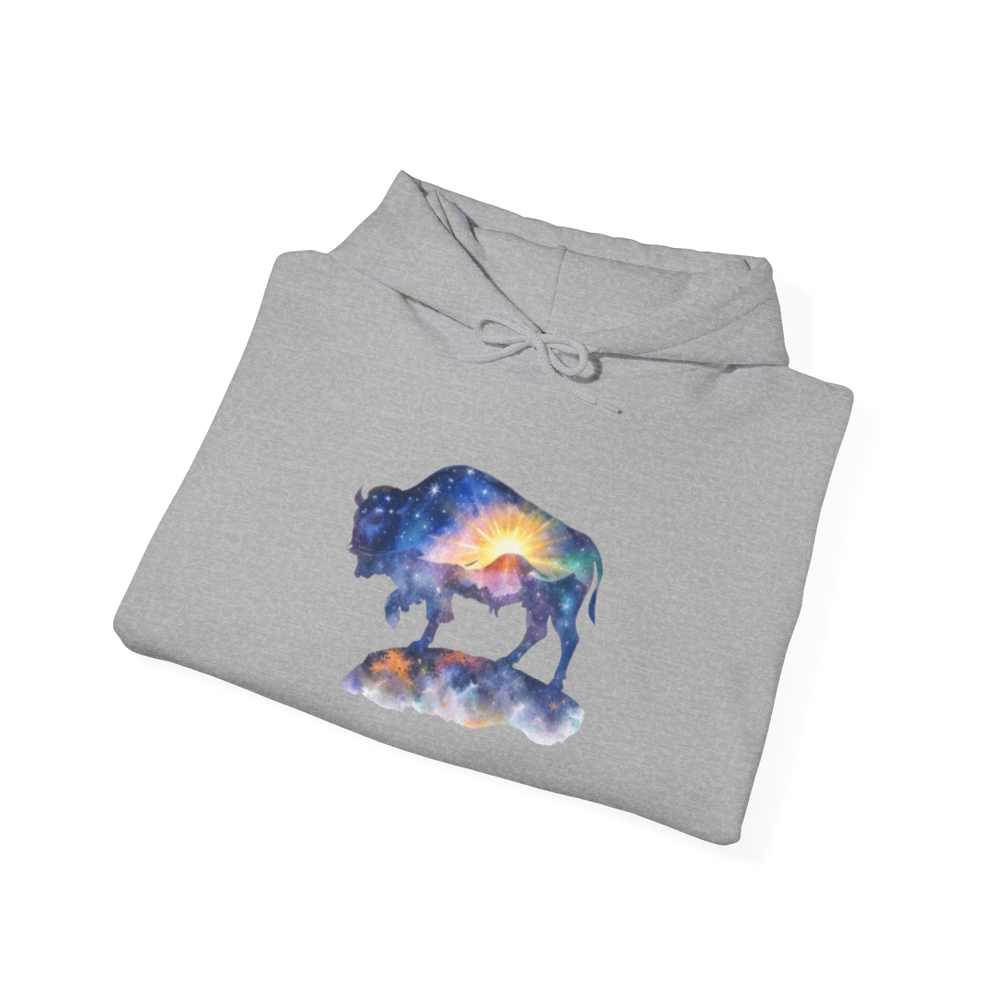 Colorful Bison Graphic Pullover