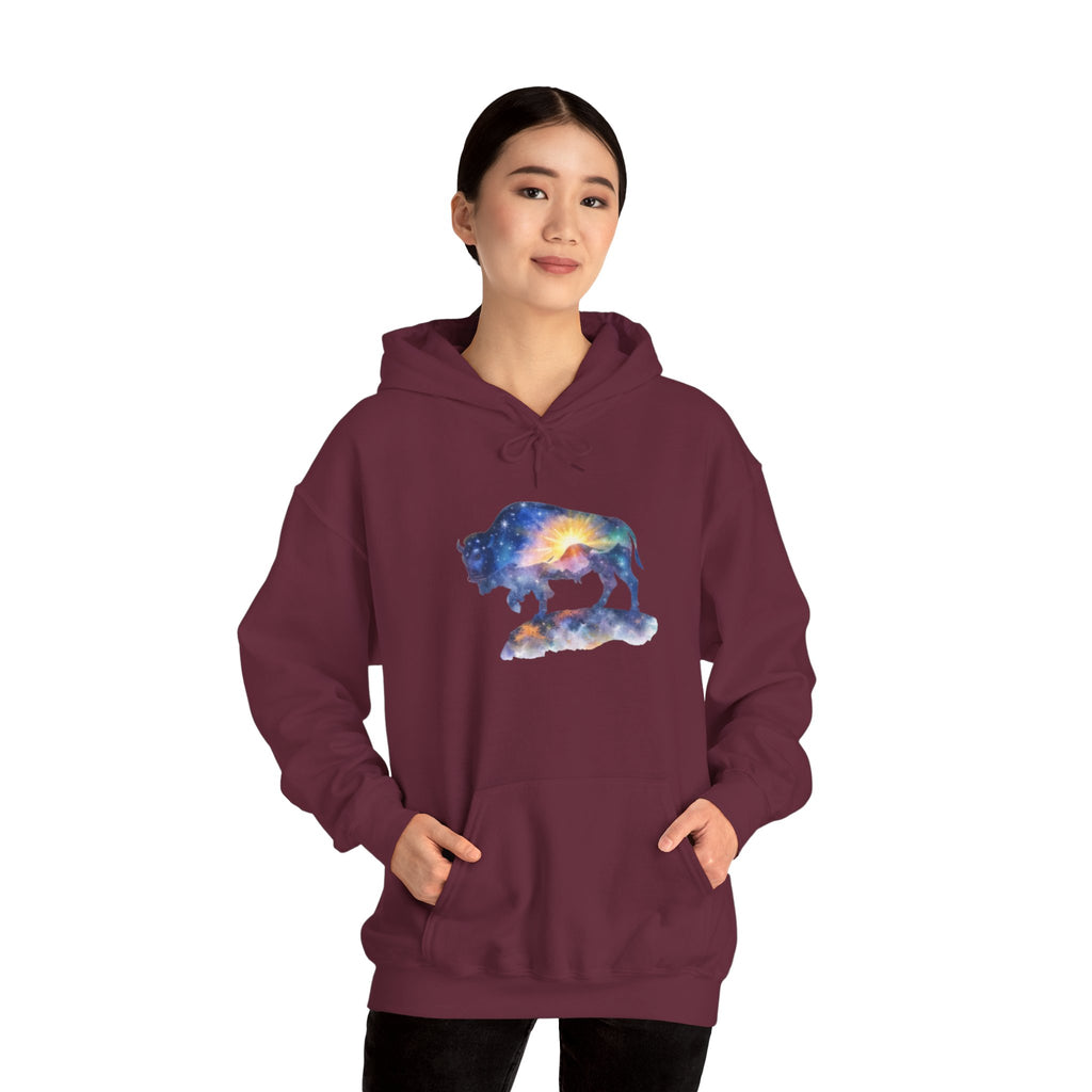 Colorful Bison Graphic Pullover