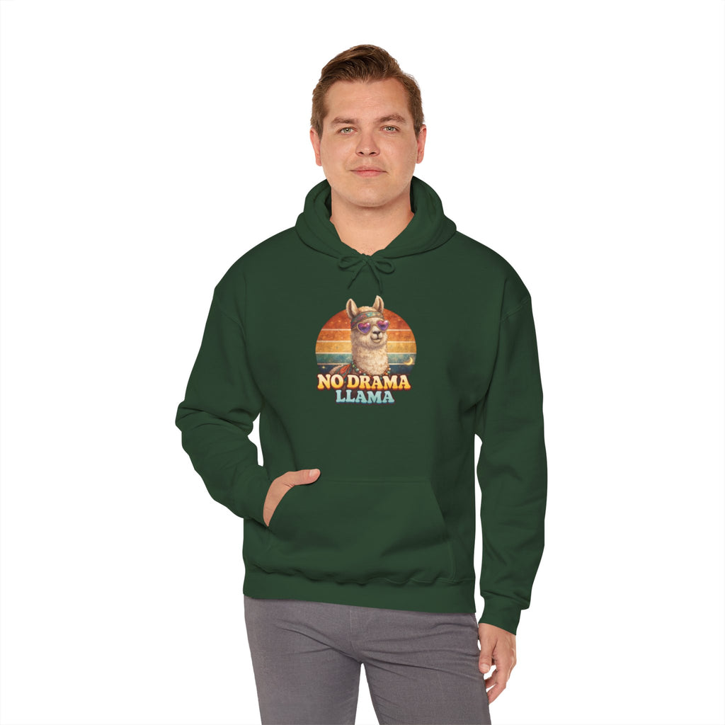 No Drama Llama Hoodie – Retro Sunset Graphic Pullover
