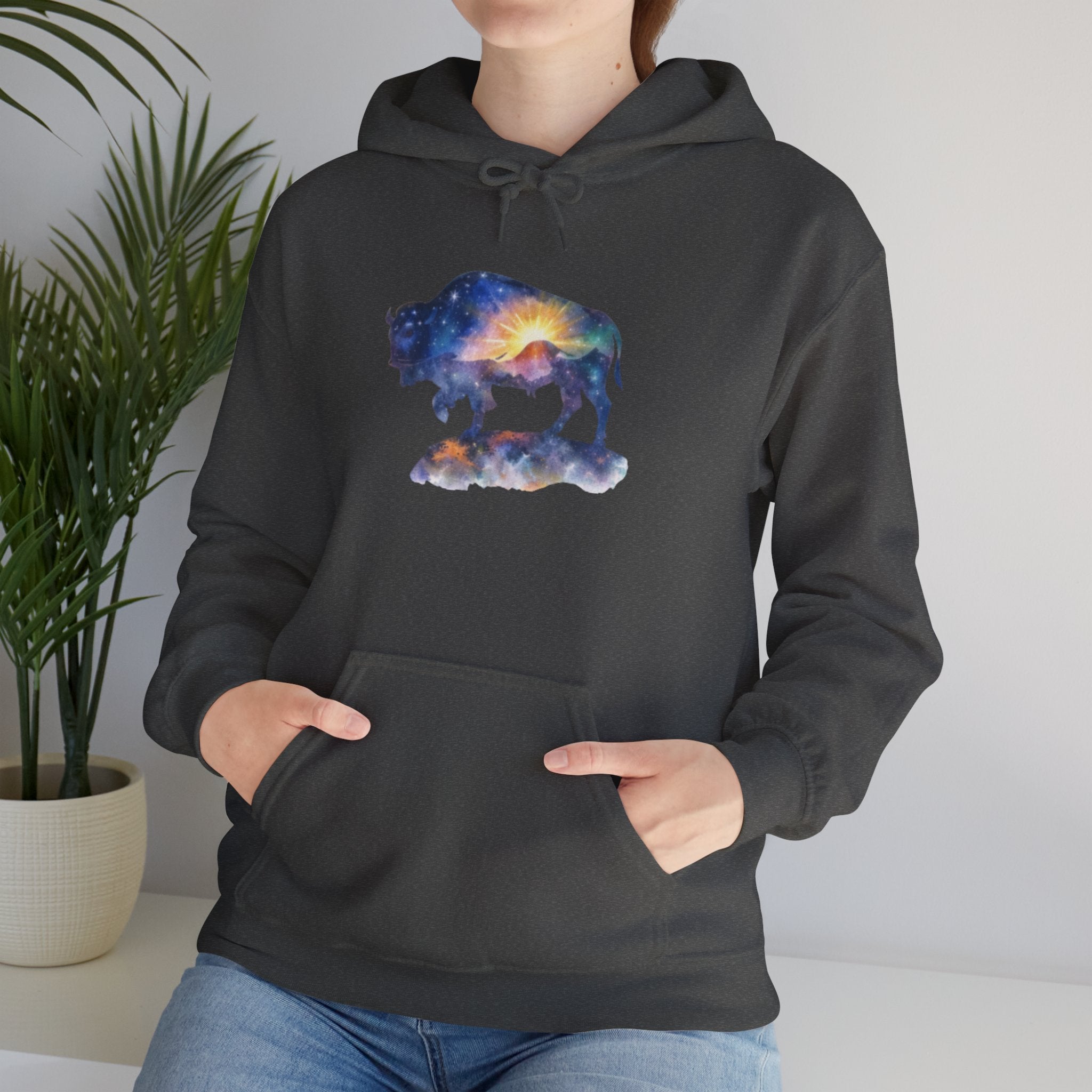Colorful Bison Graphic Pullover
