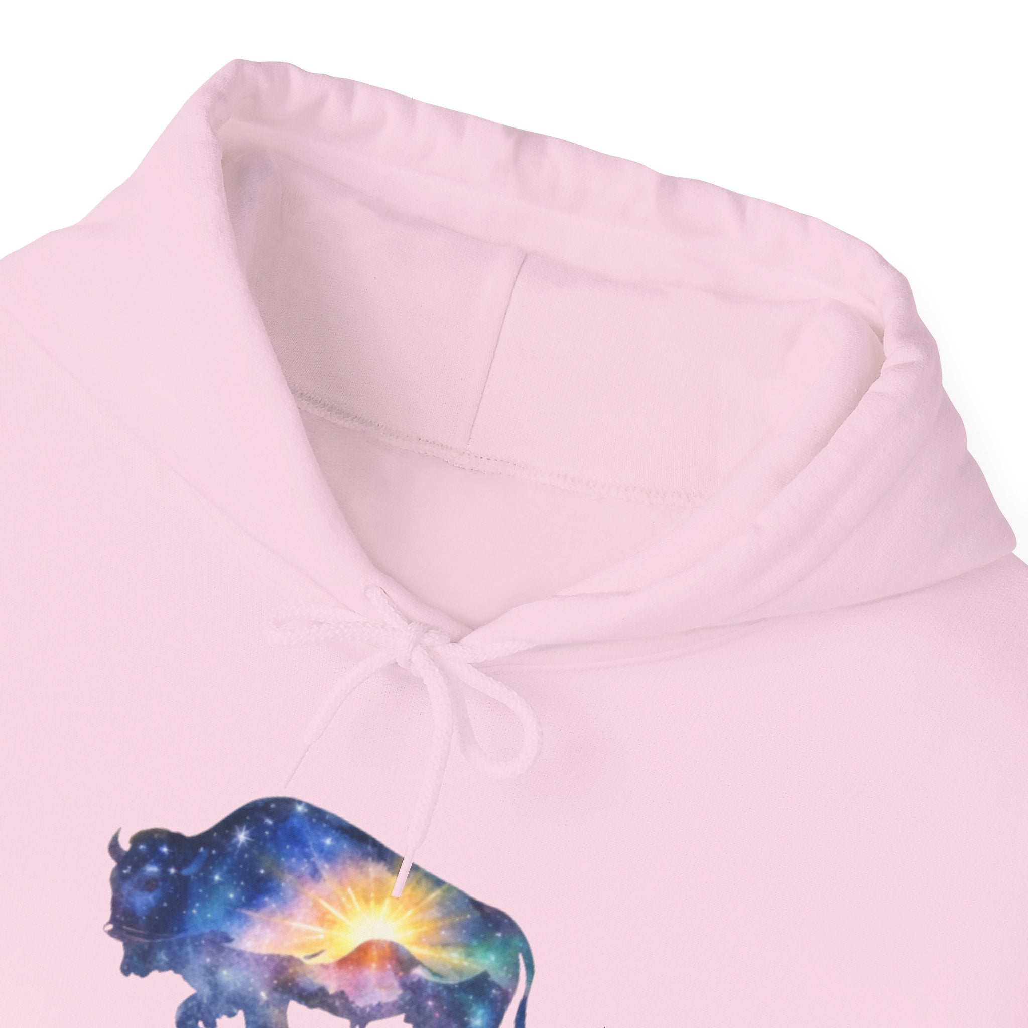 Colorful Bison Graphic Pullover