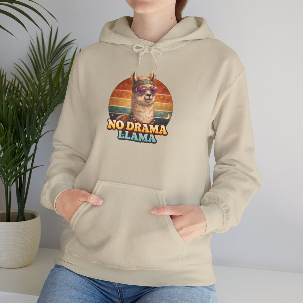 No Drama Llama Hoodie – Retro Sunset Graphic Pullover