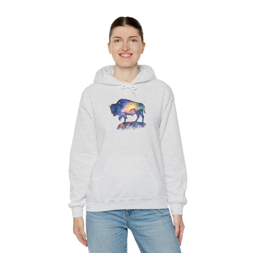 Colorful Bison Graphic Pullover