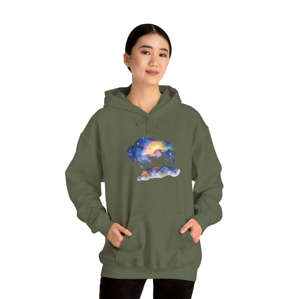 Colorful Bison Graphic Pullover
