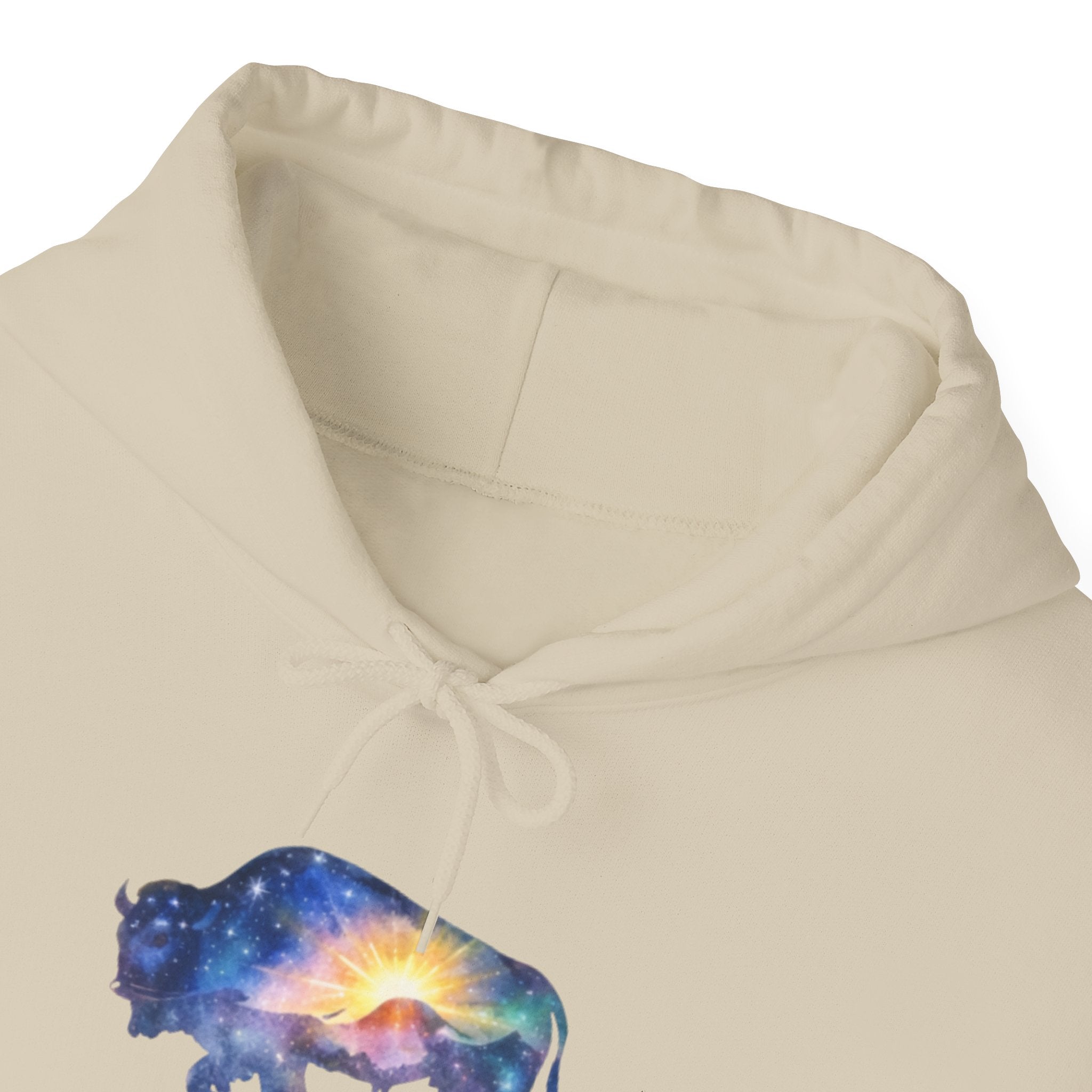 Colorful Bison Graphic Pullover