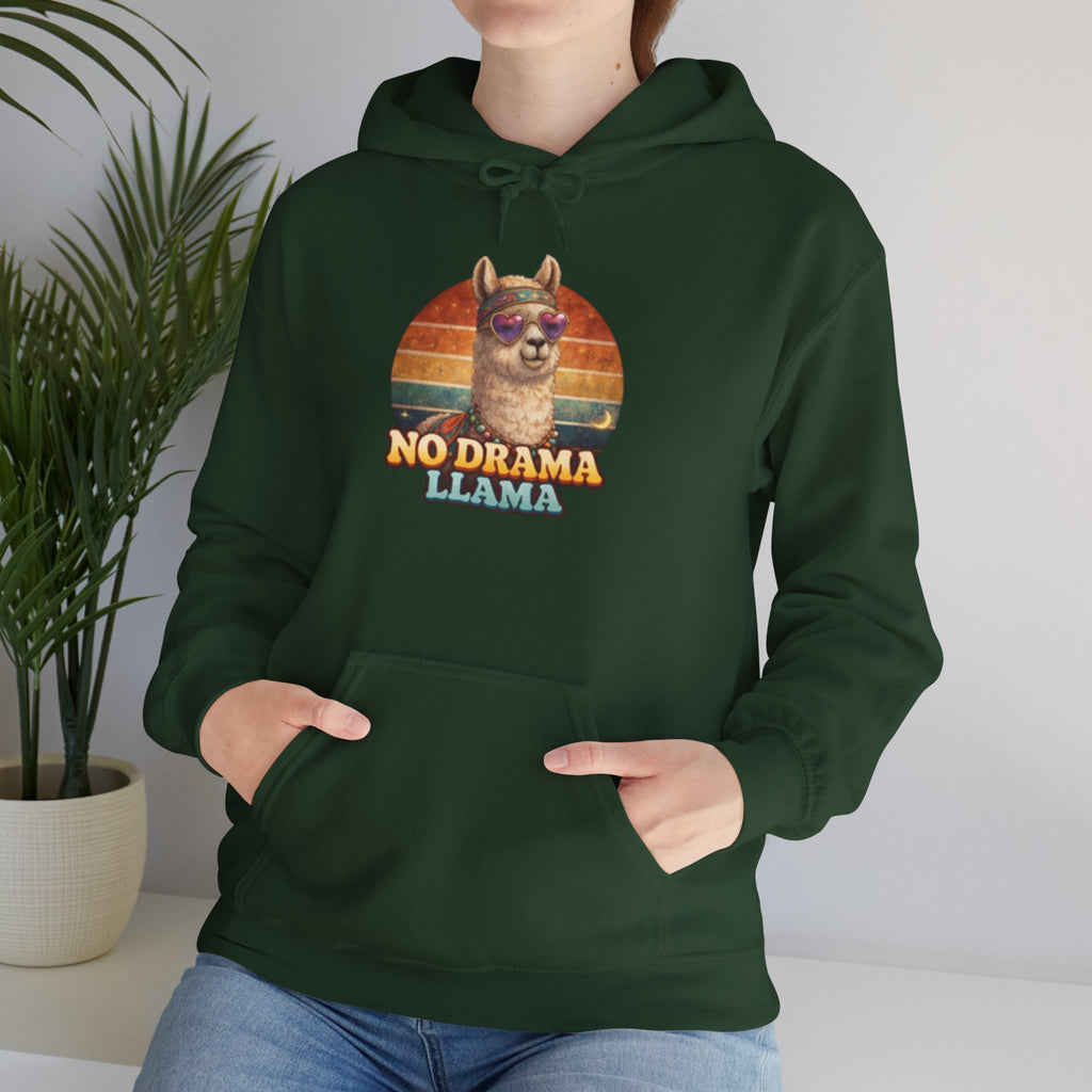 No Drama Llama Hoodie – Retro Sunset Graphic Pullover