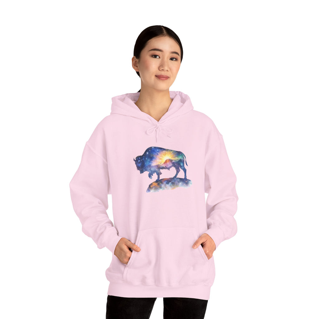 Colorful Bison Graphic Pullover