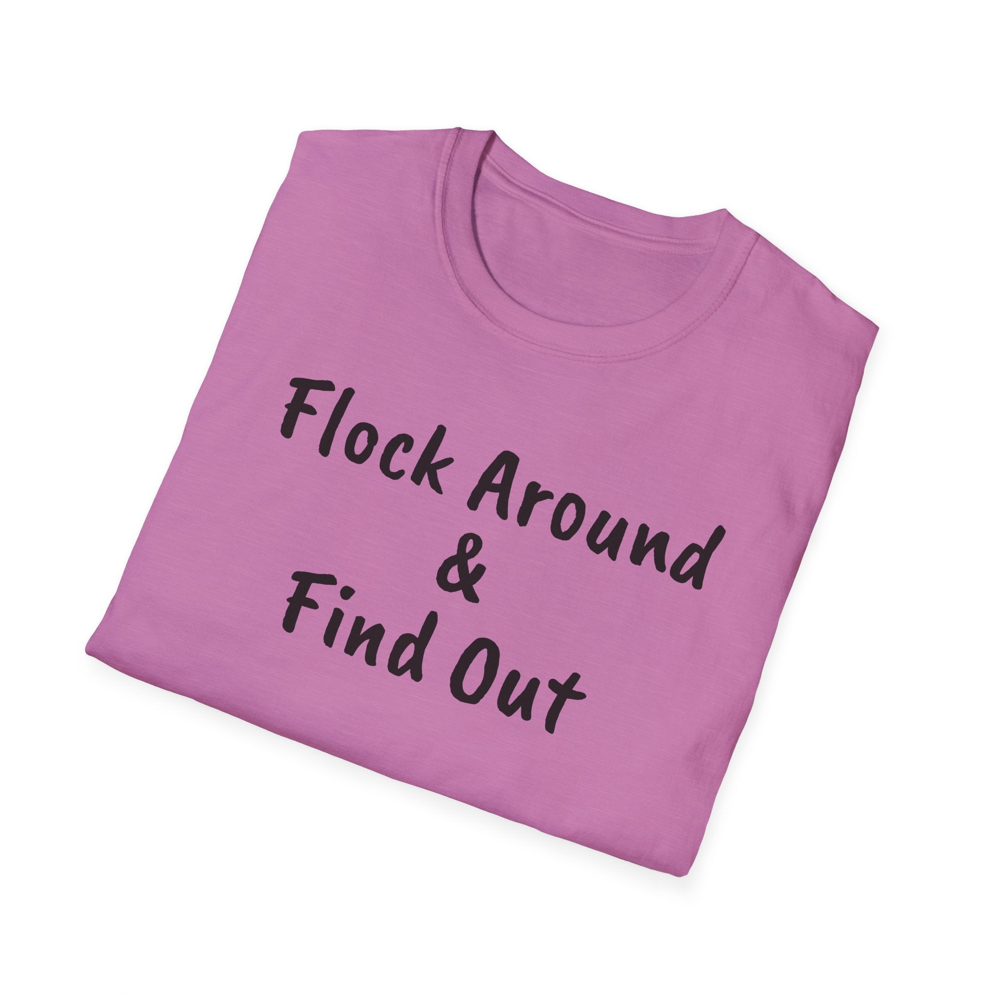 Copy of Flock Around and Find Out — Distressed Embroidered Dad Hat