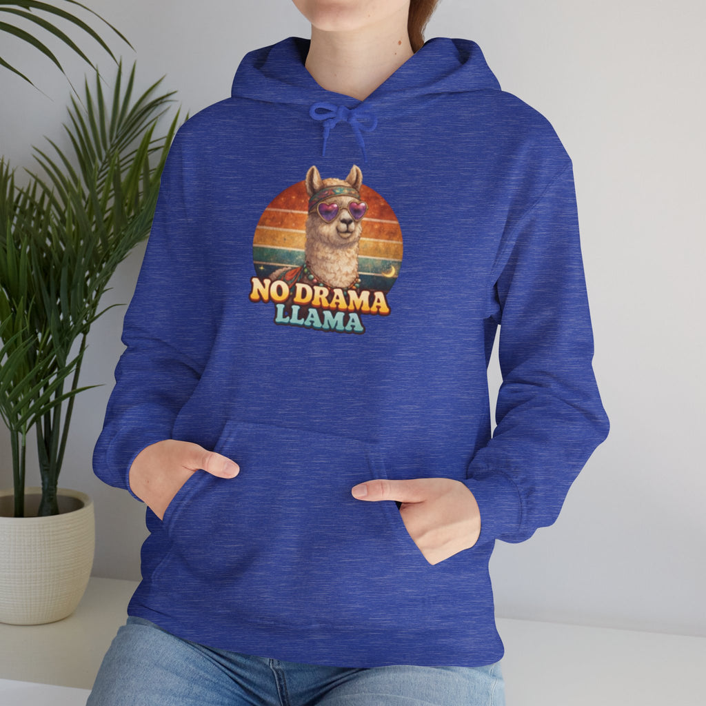 No Drama Llama Hoodie – Retro Sunset Graphic Pullover