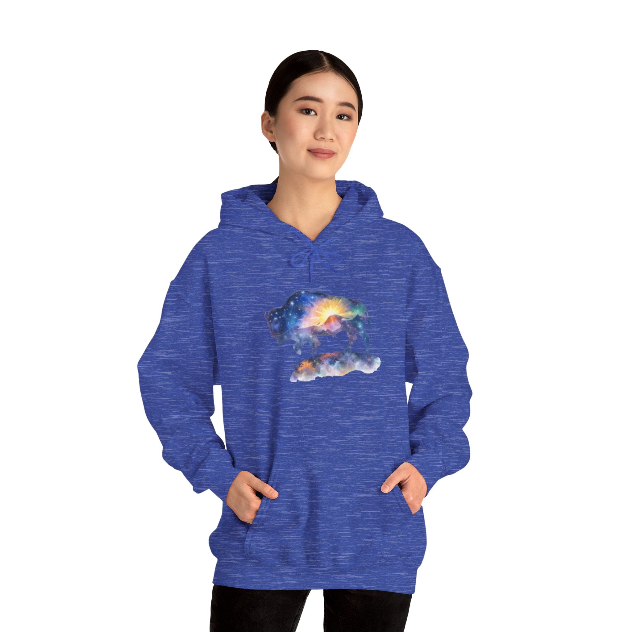 Colorful Bison Graphic Pullover