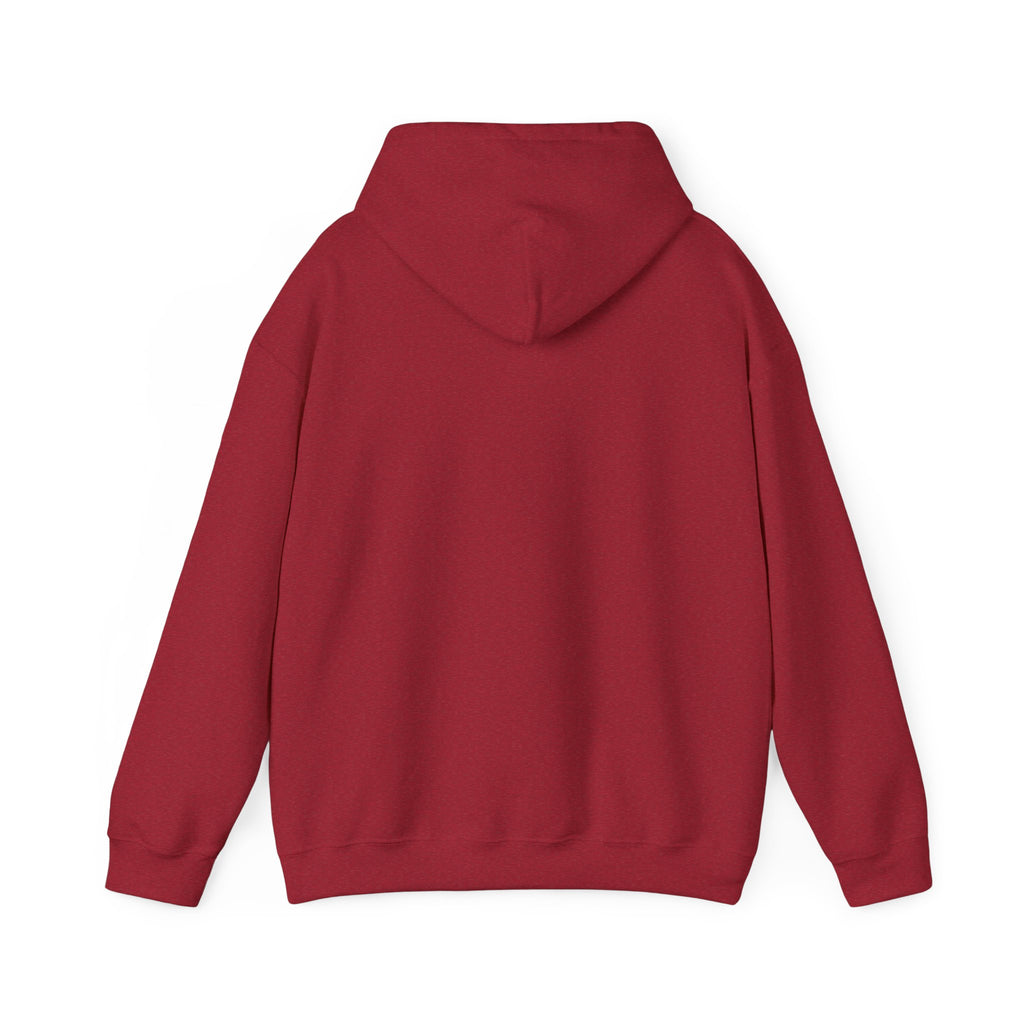 Cosmic Bison Graphic Sweatshirt