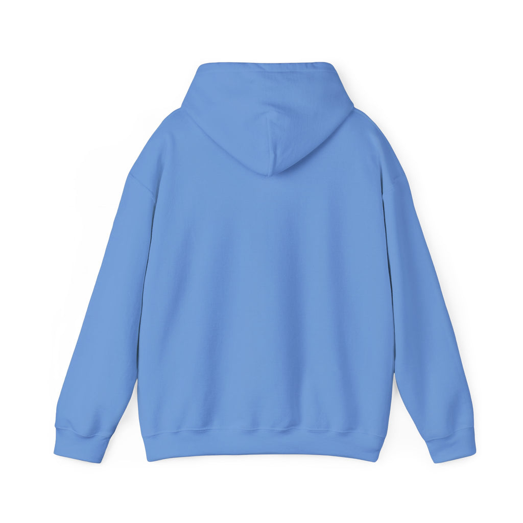 Flock Around & Find Out Hoodie | Funny Typography Pullover