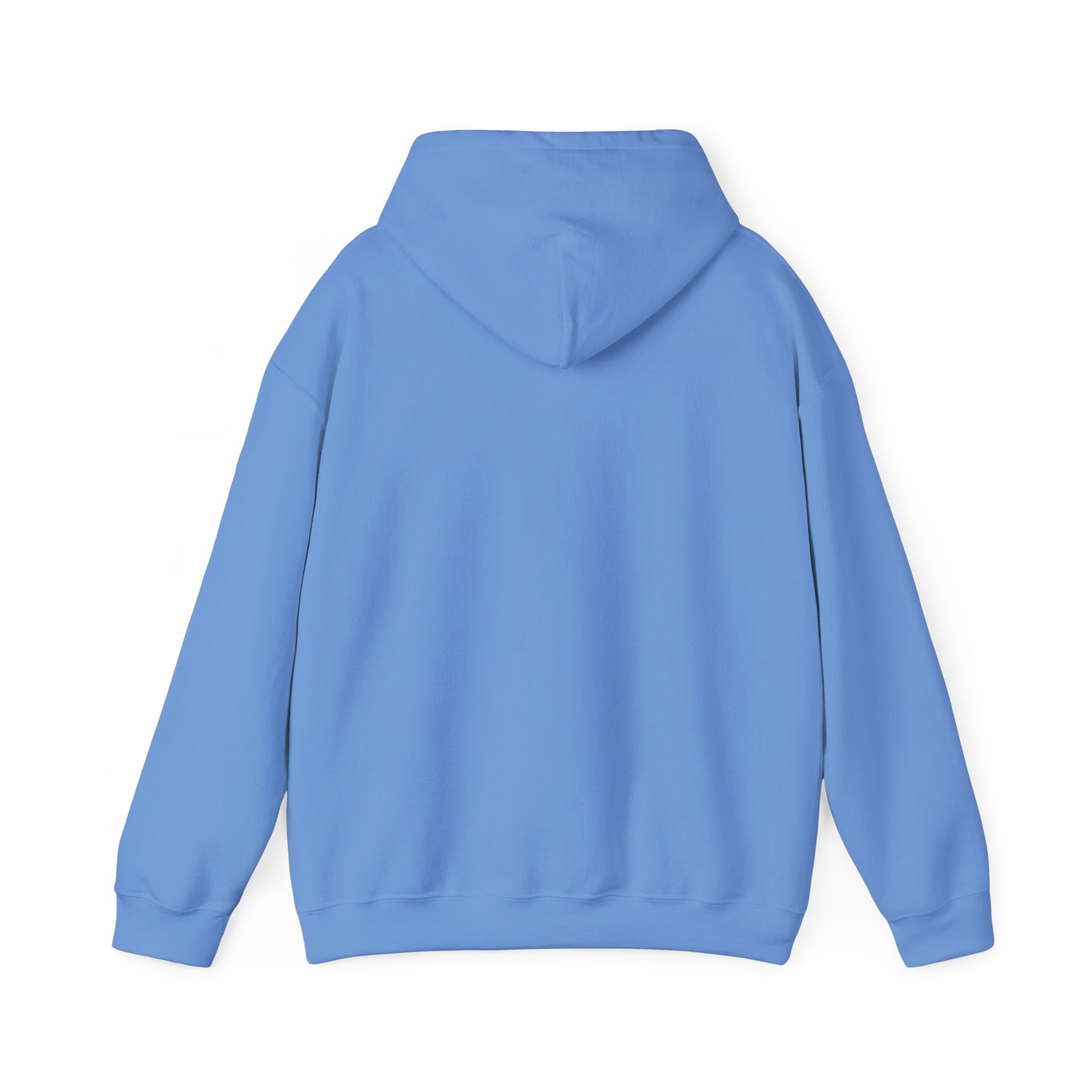 Flock Around & Find Out Hoodie | Funny Typography Pullover