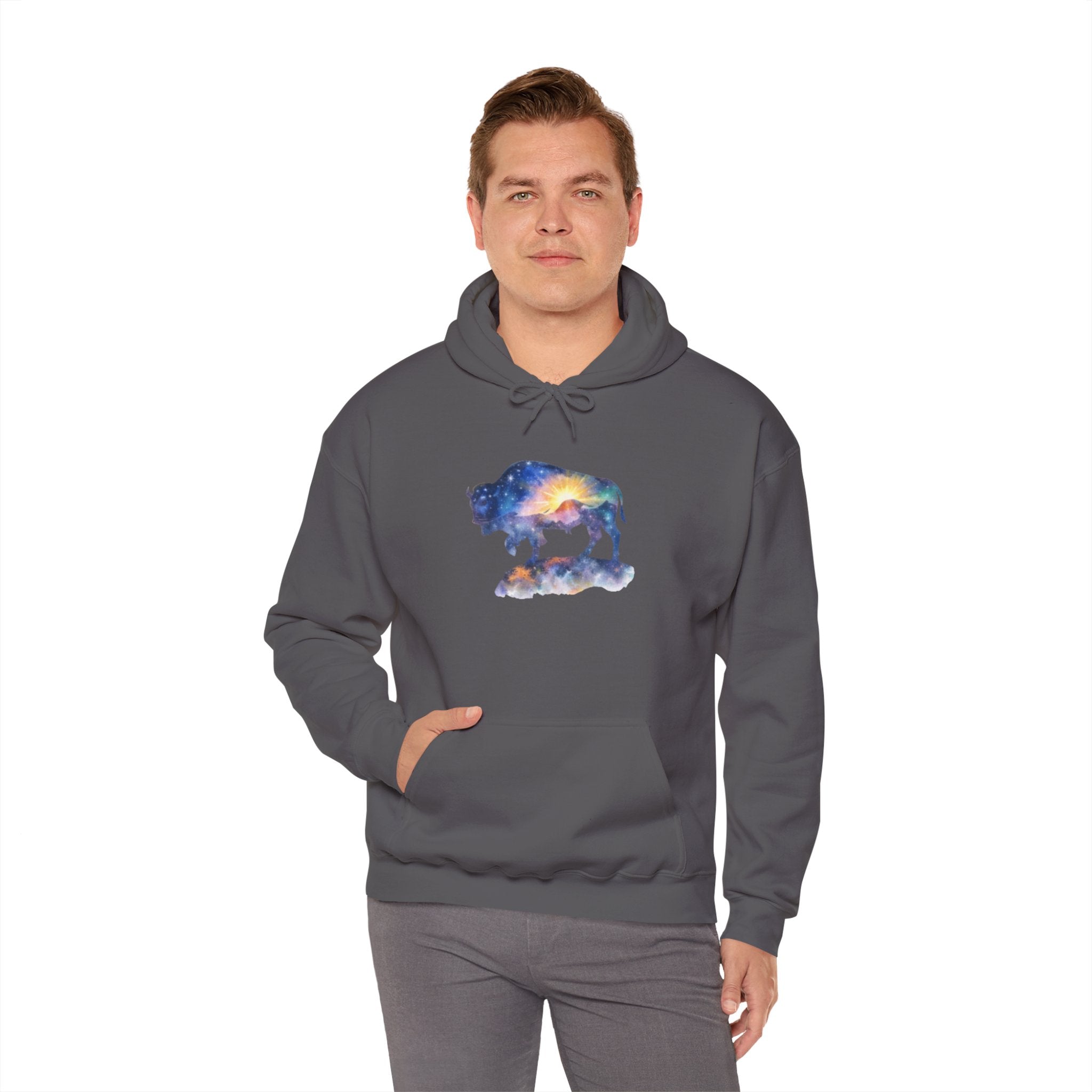 Colorful Bison Graphic Pullover