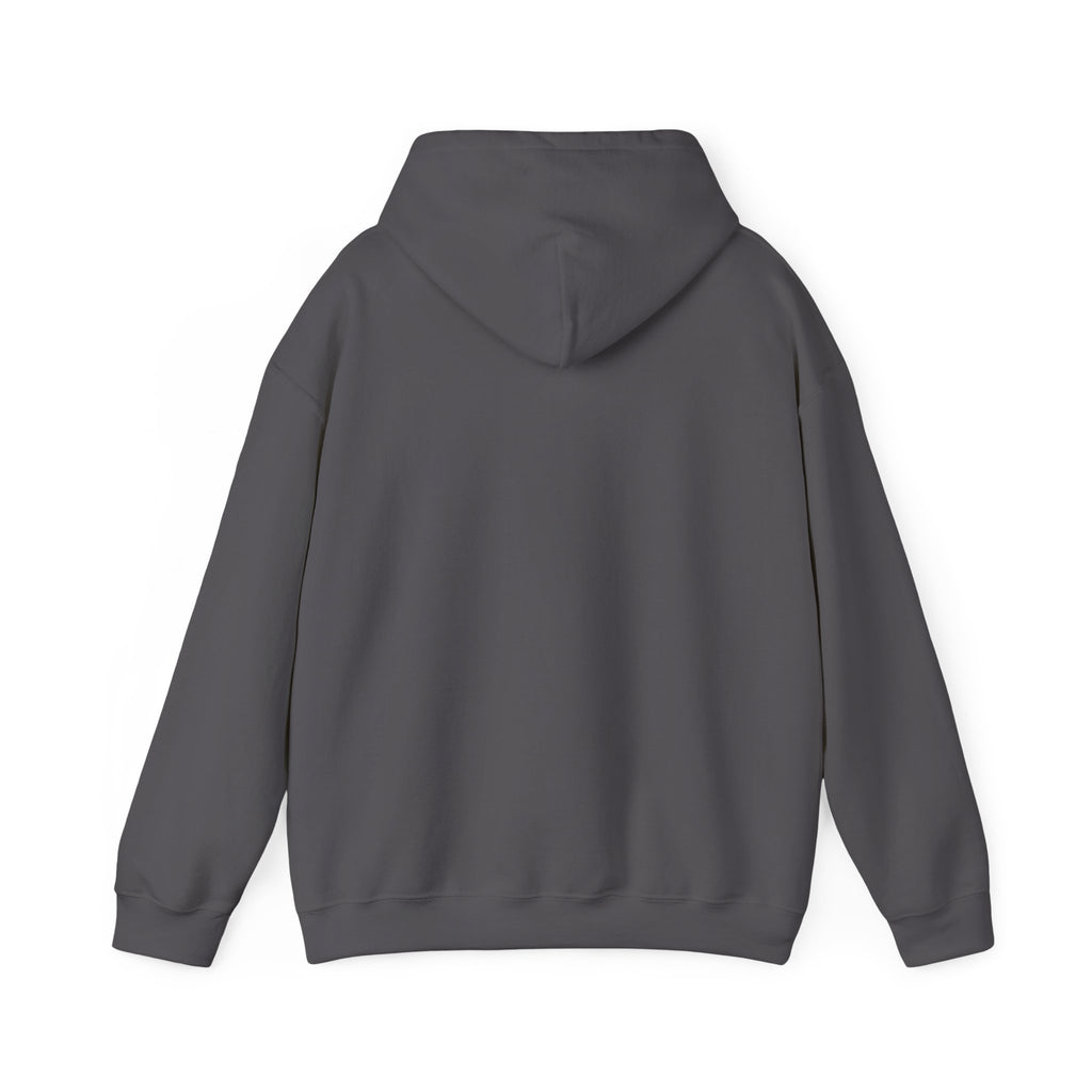 No Drama Llama Hoodie – Retro Sunset Graphic Pullover