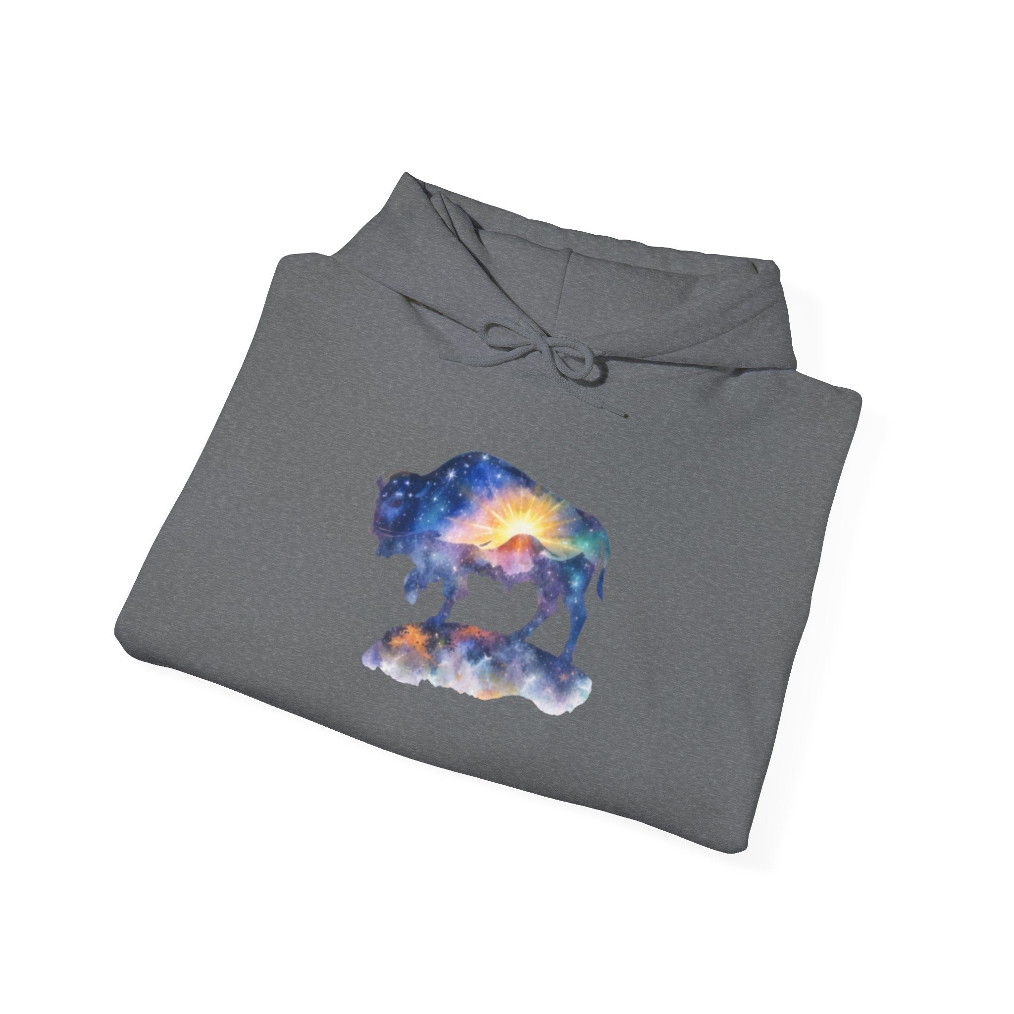 Cosmic Bison Graphic Sweatshirt